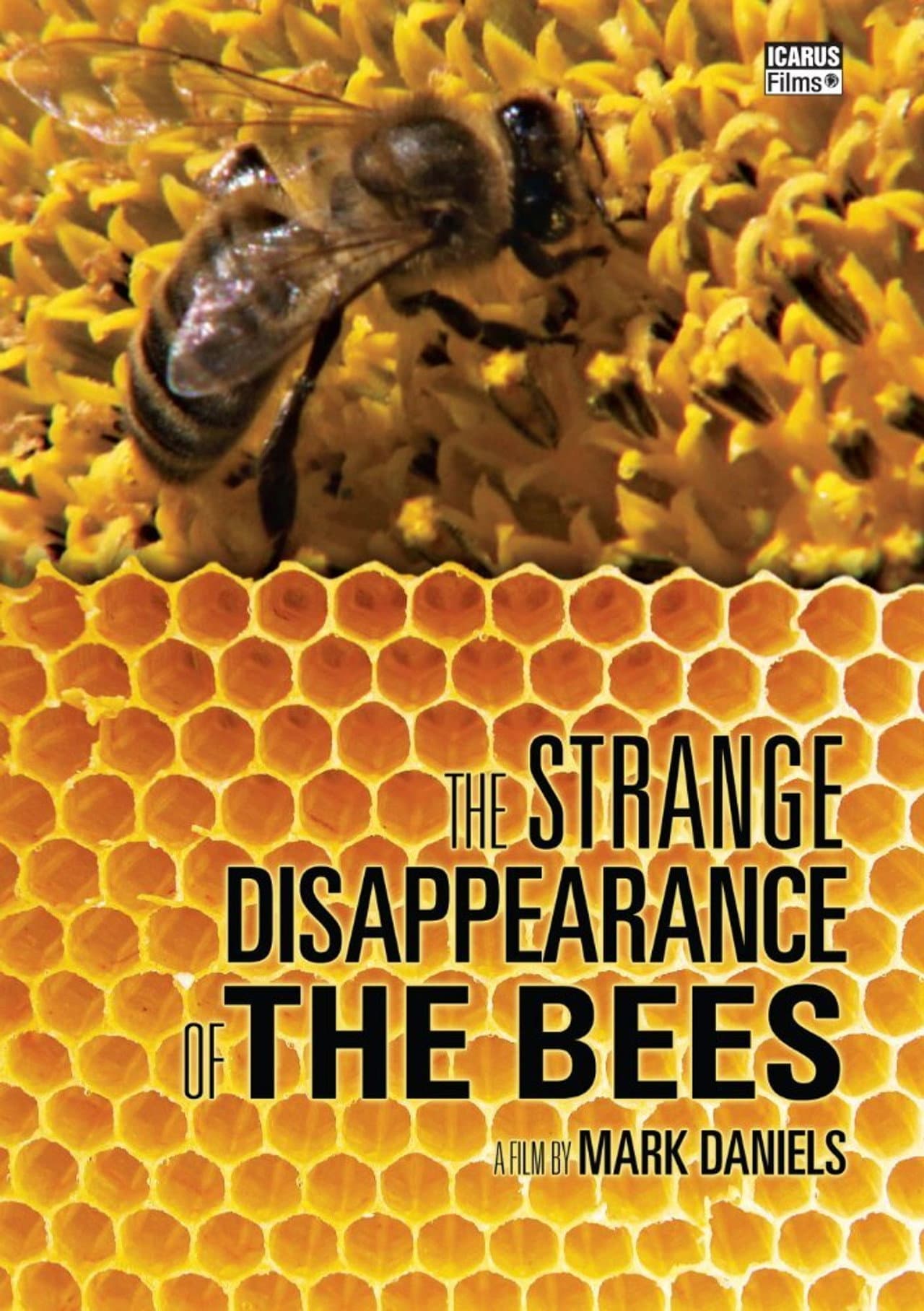 The Mystery of the Disappearing Bees preview 2