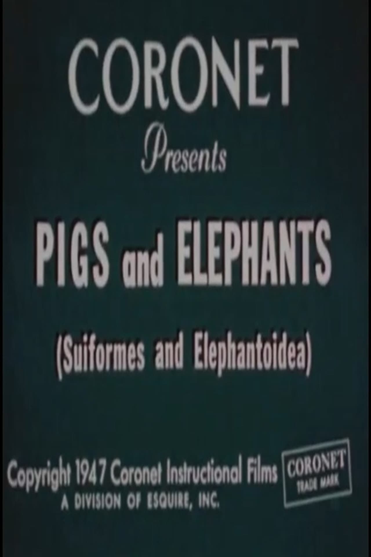 Pigs and Elephants (Suiformes and Elephantoidea) preview 2