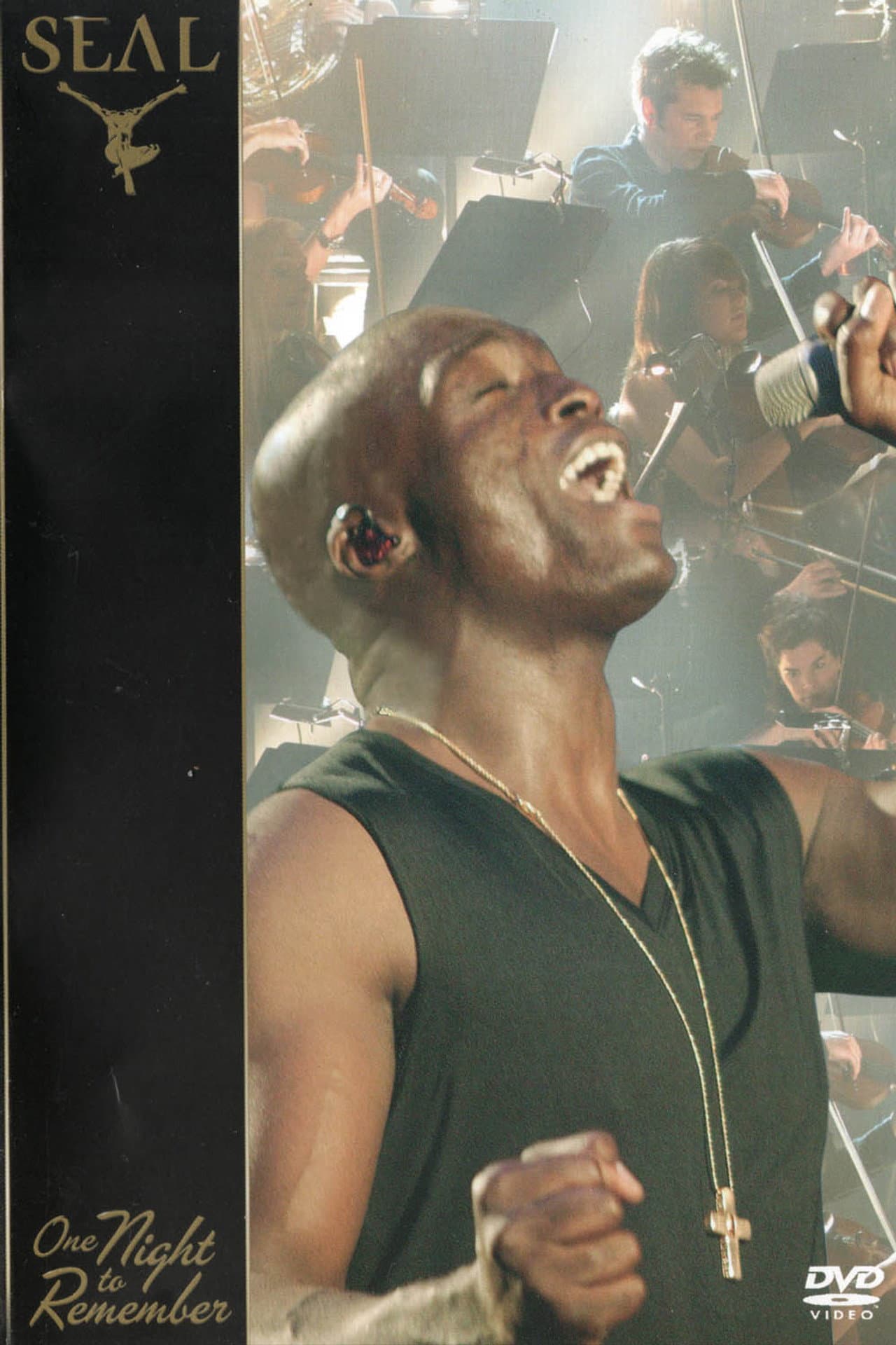 Seal: One Night To Remember preview 1