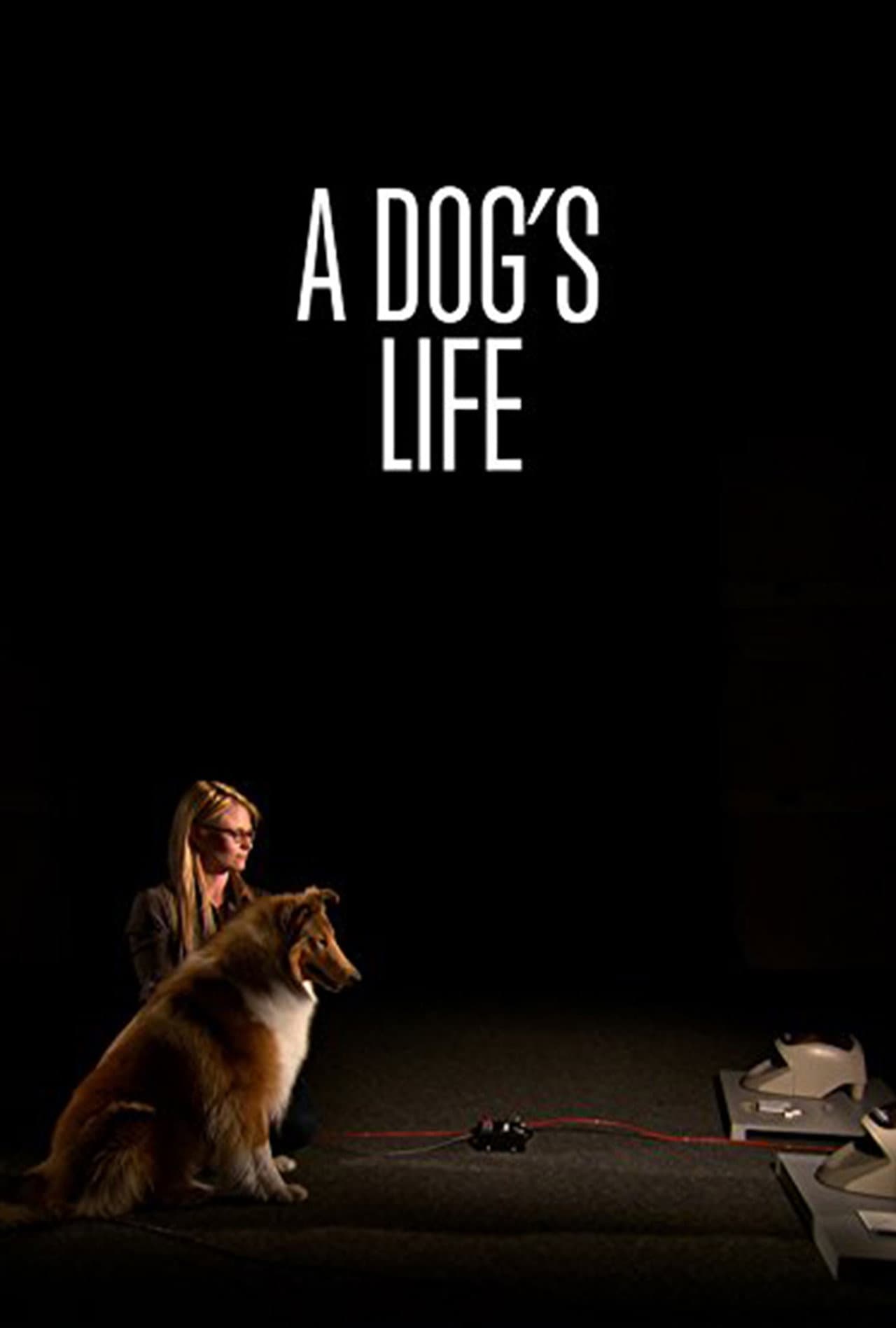 A Dog's Life preview 2