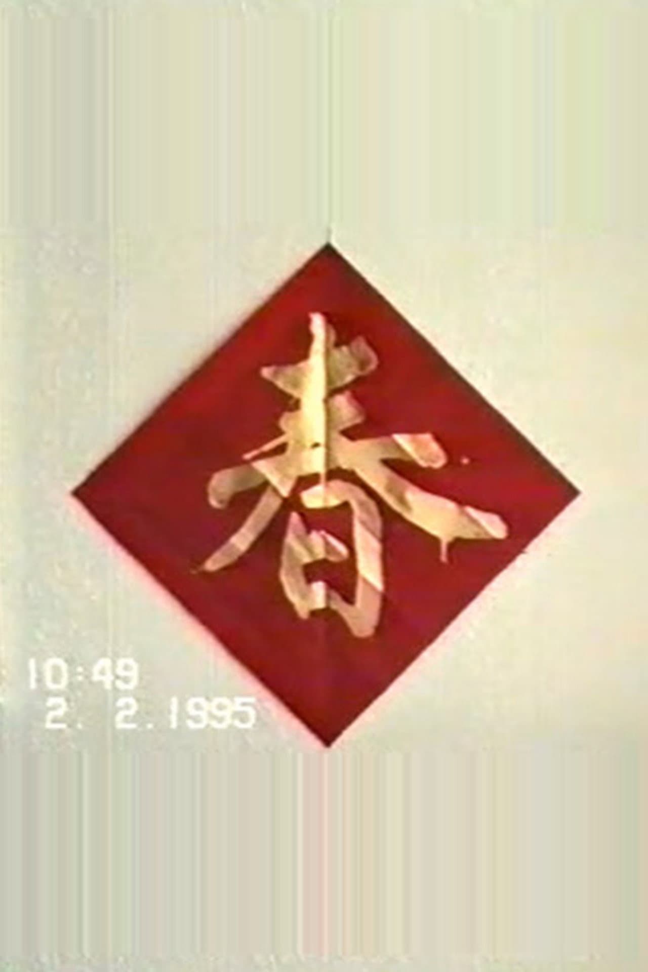 1995年2月2日民间举办迎喜花会 preview 2