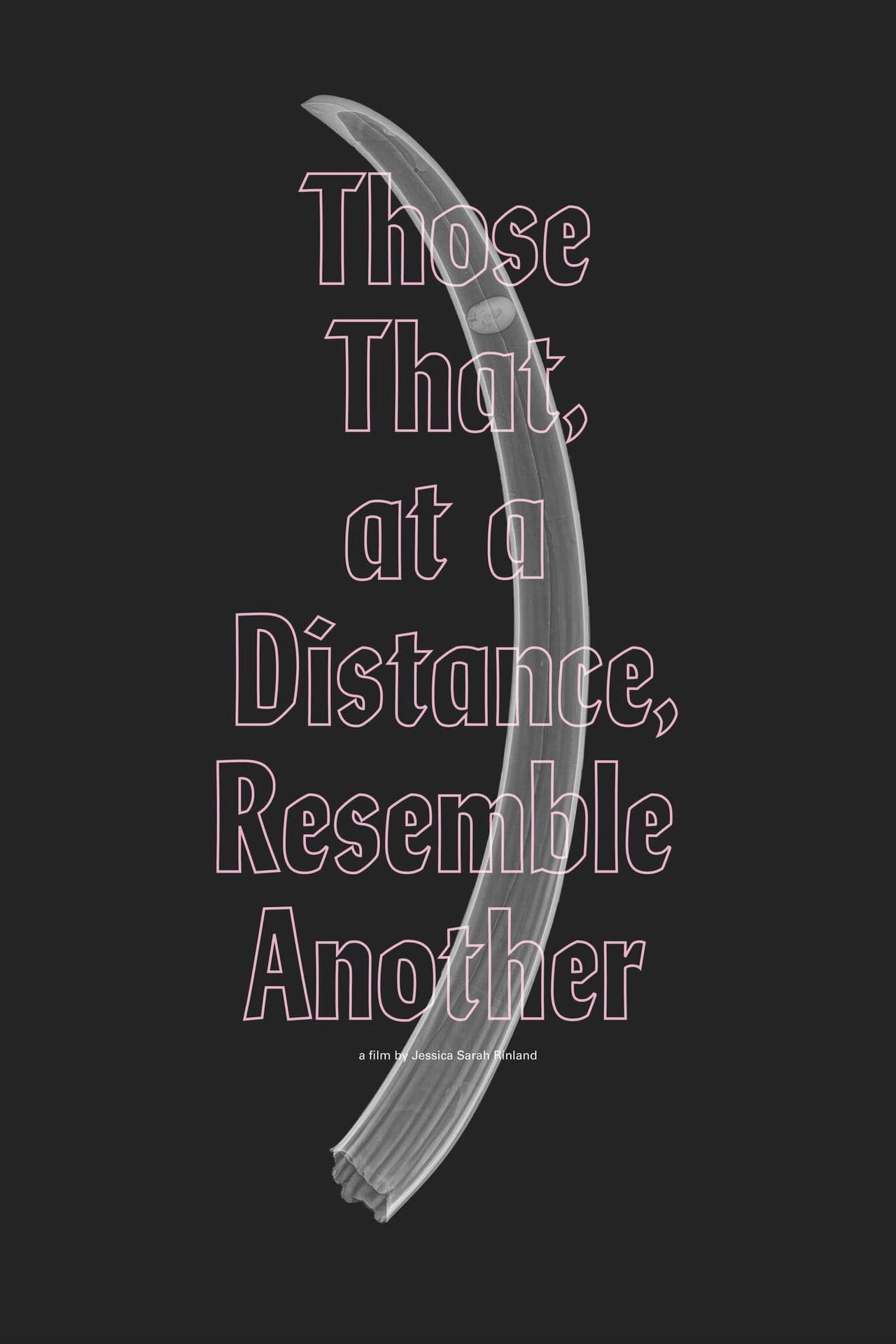 Those That, at a Distance, Resemble Another preview 2