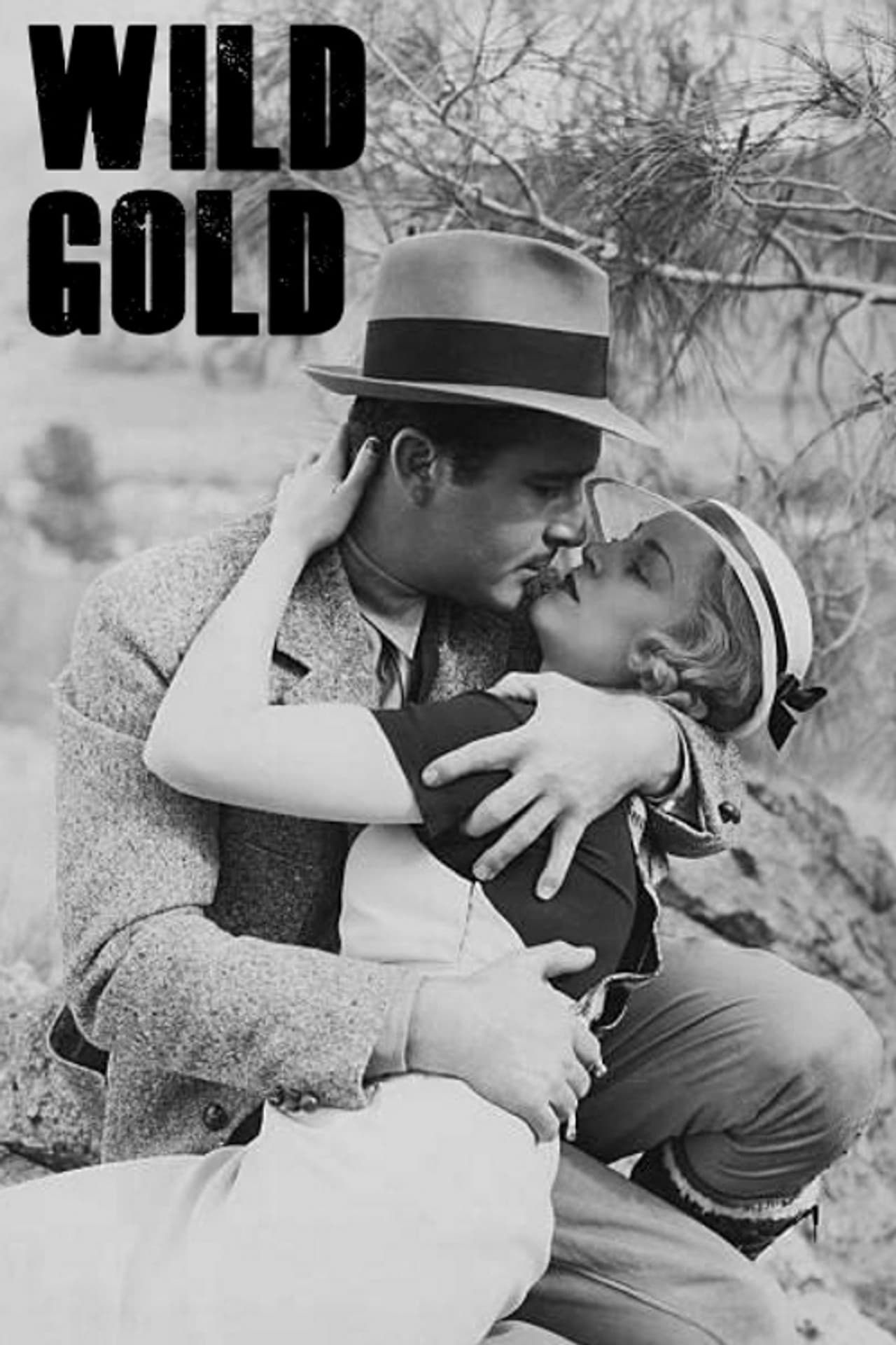 Wild Gold preview 2