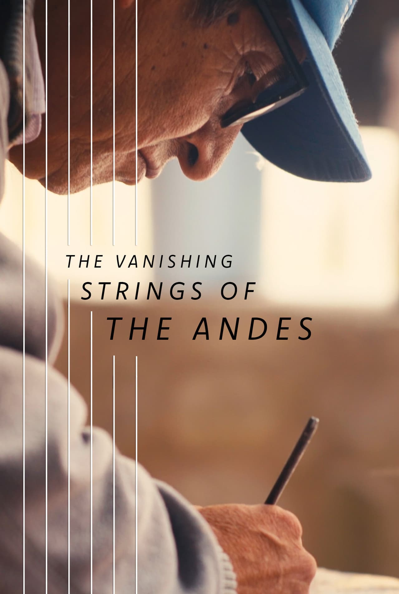 The Vanishing Strings of the Andes preview 1