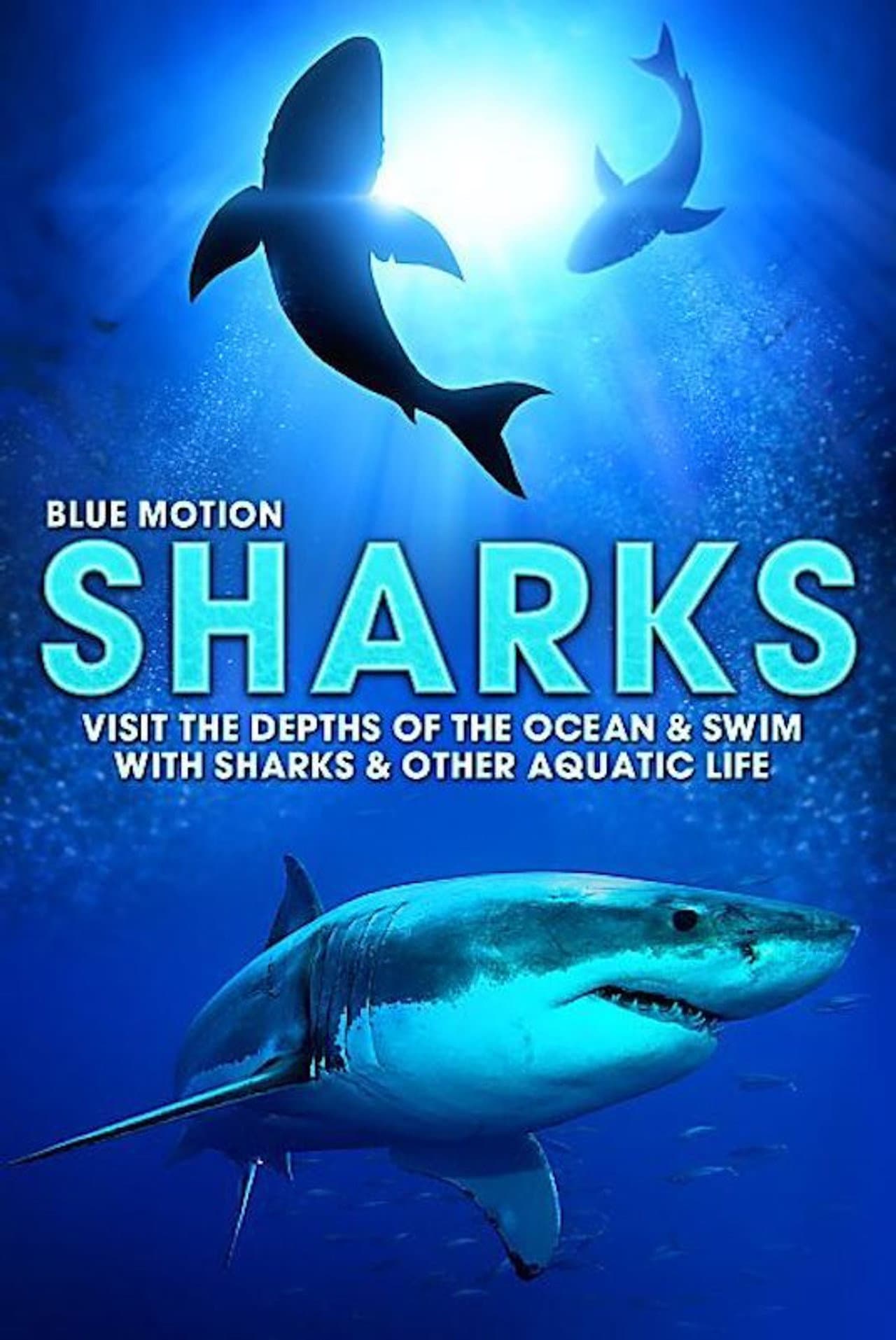 Blue Motion: Rulers of the Oceans preview 1