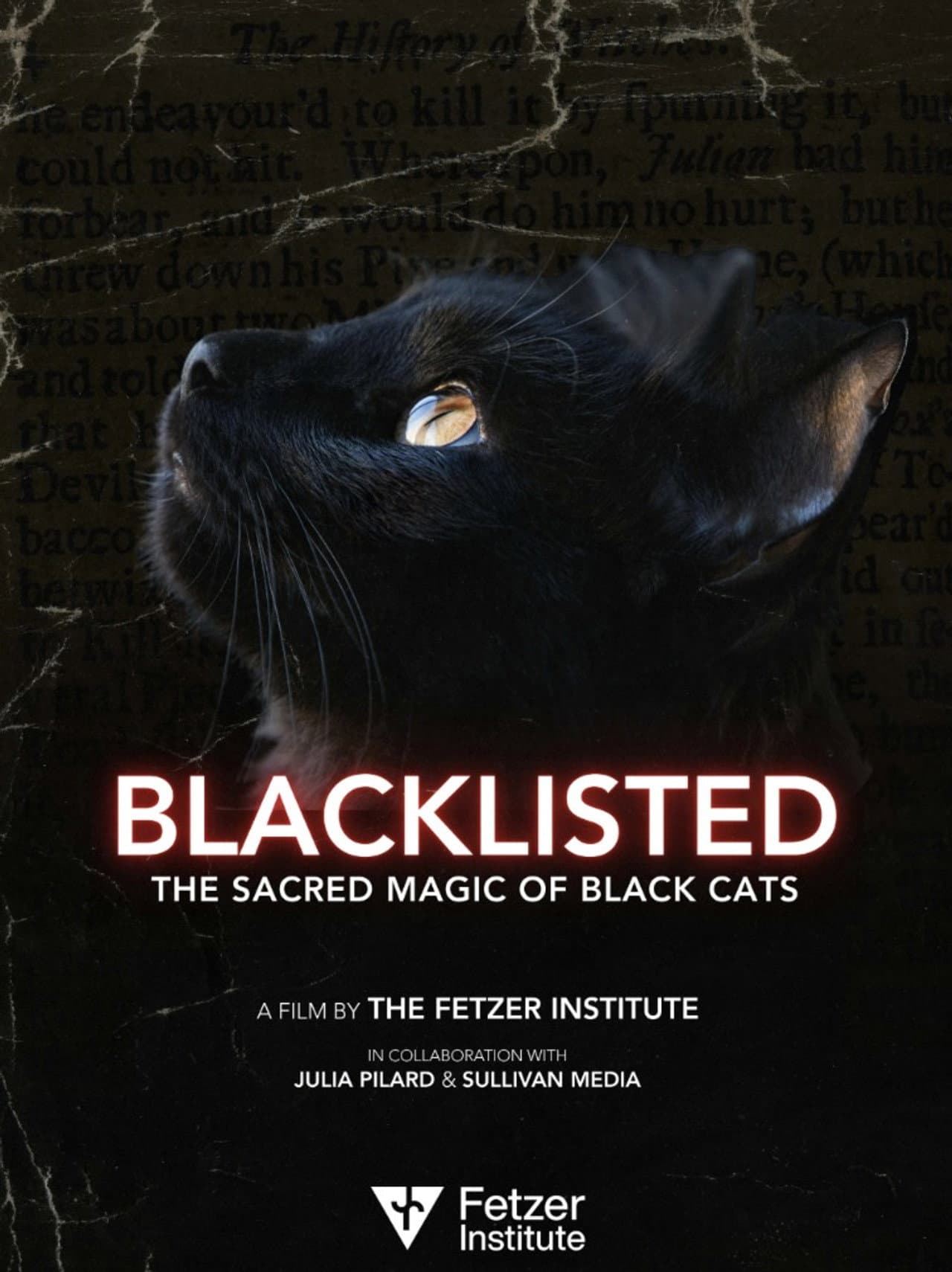 Blacklisted preview 1