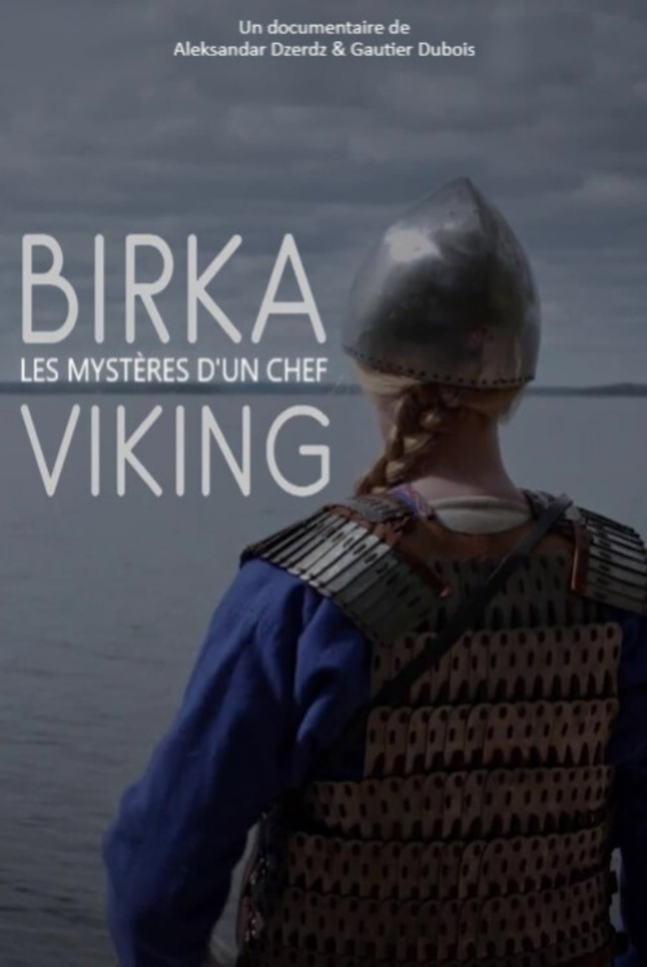 Birka, les mystères d'un chef viking preview 2