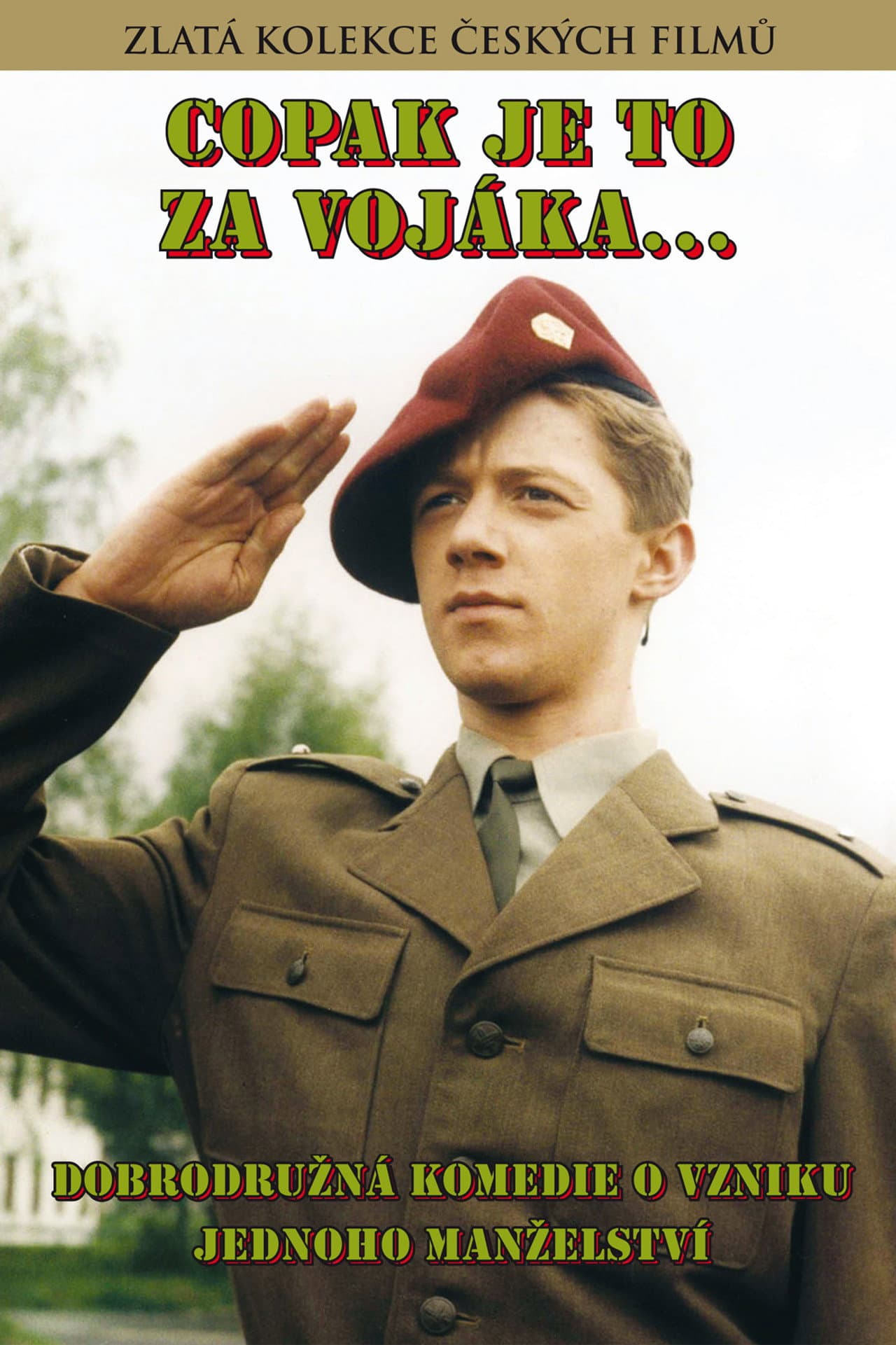 Who's That Soldier? preview 2