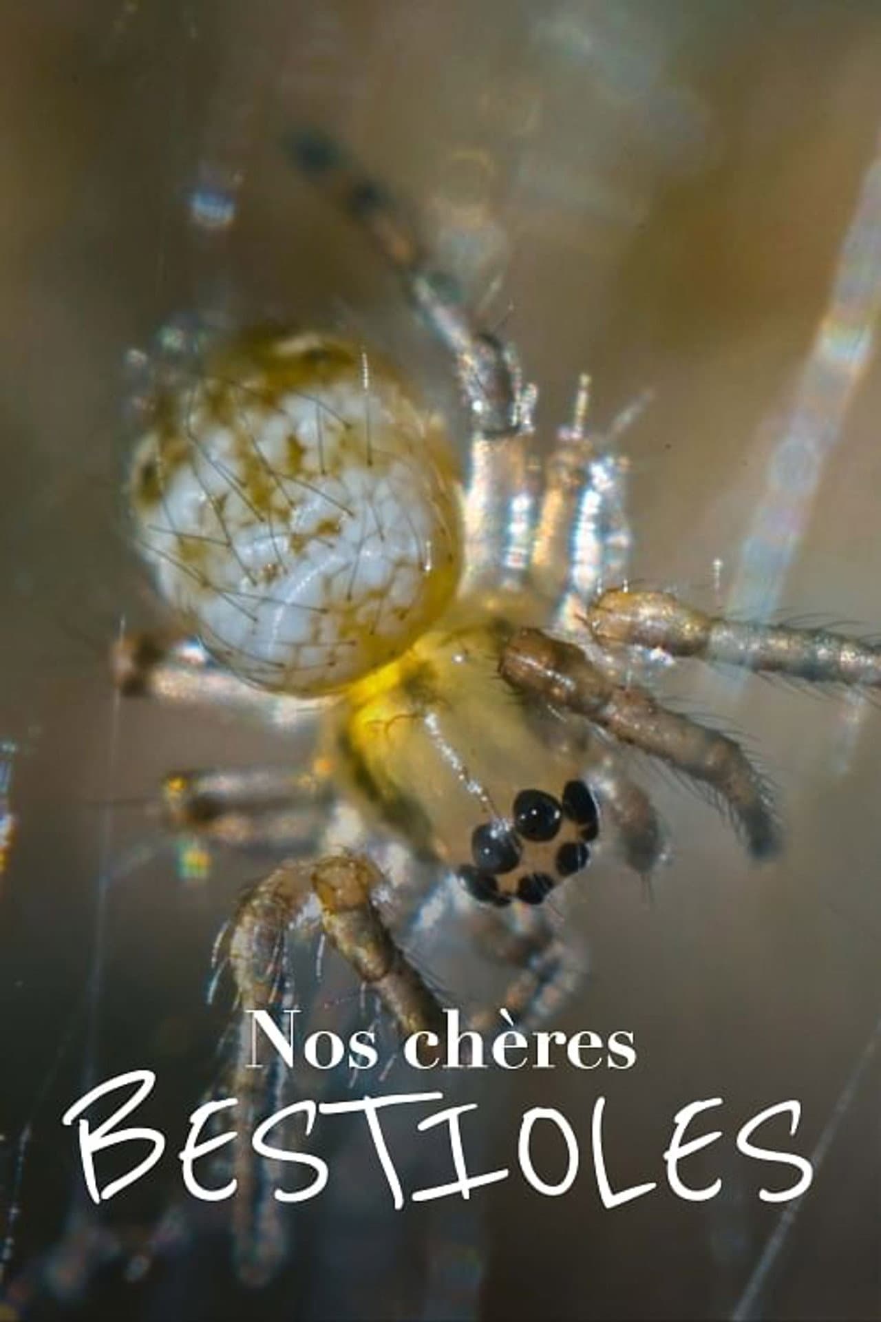 Nos chères bestioles preview 2