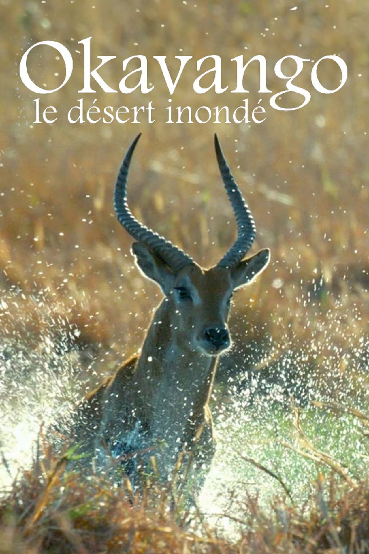 Kalahari: The Flooded Desert preview 2