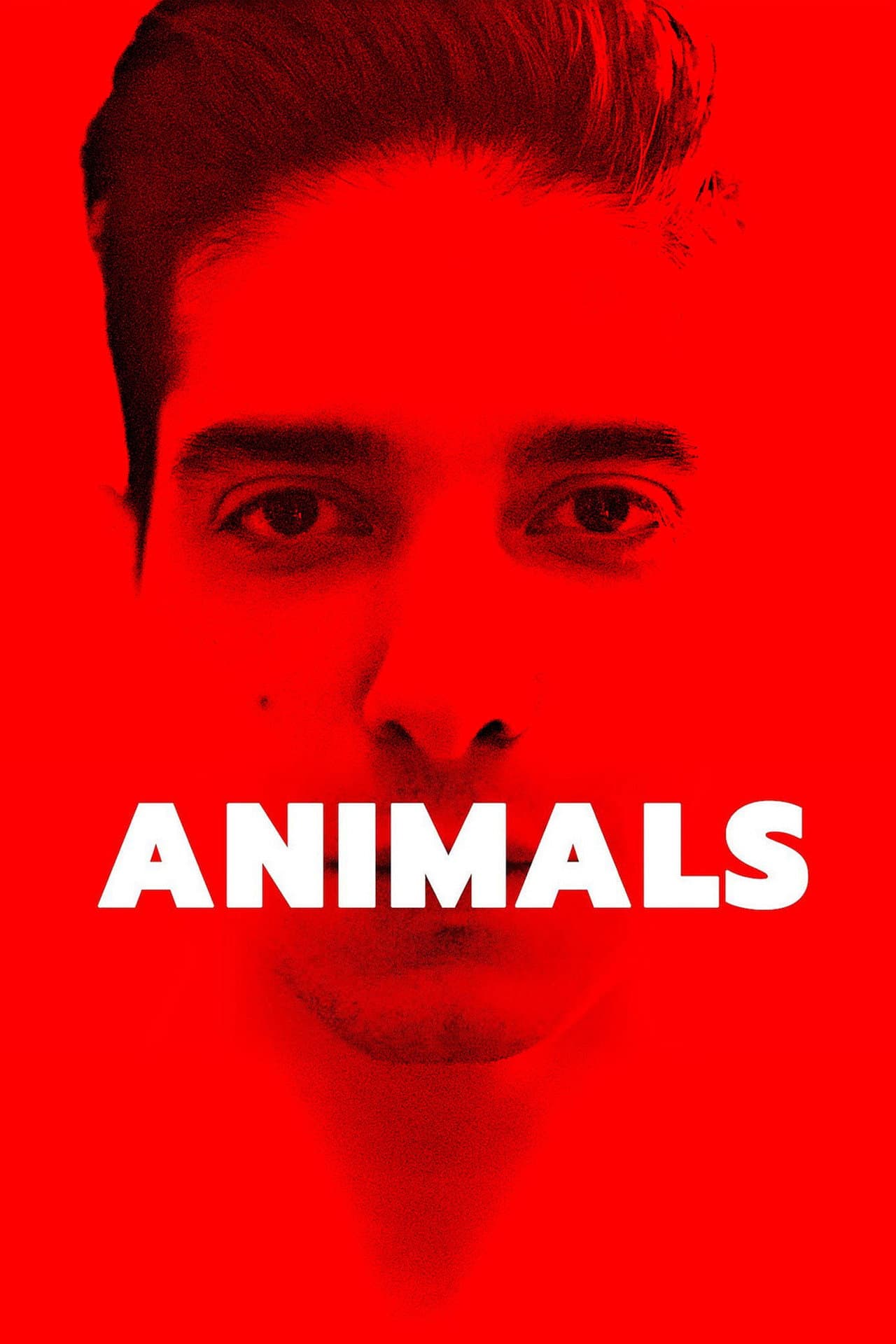 Animals preview 2