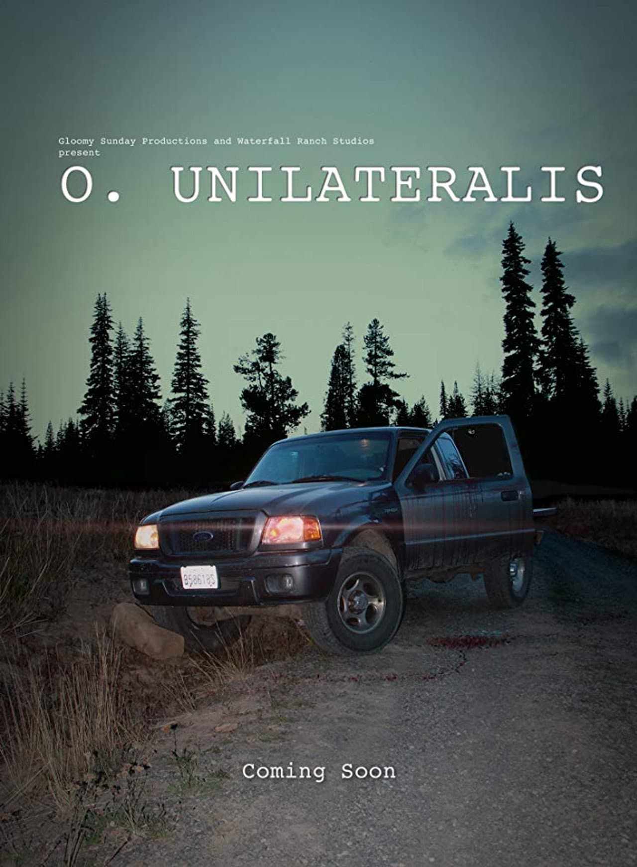 O. Unilateralis preview 2