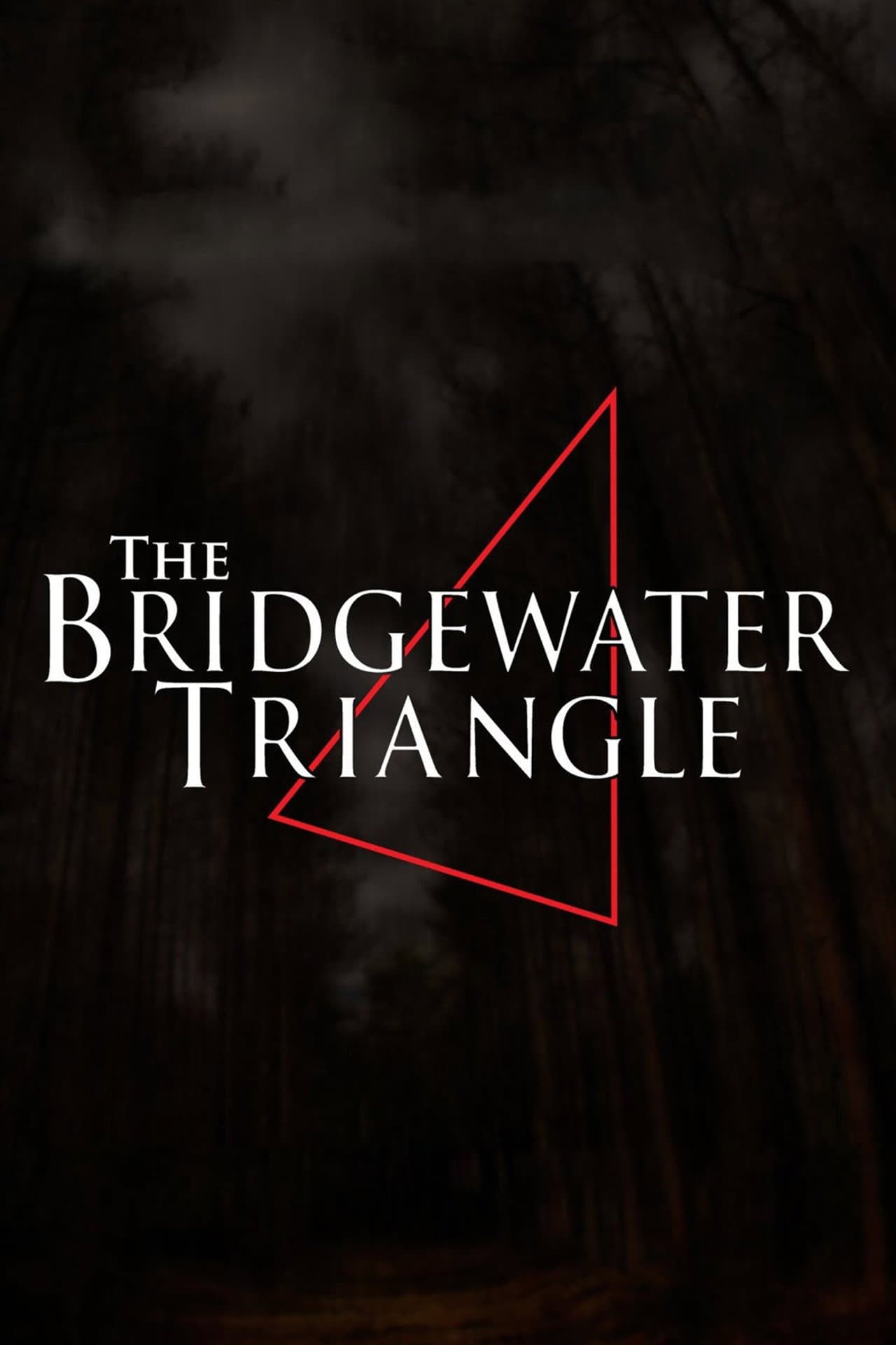 The Bridgewater Triangle preview 1