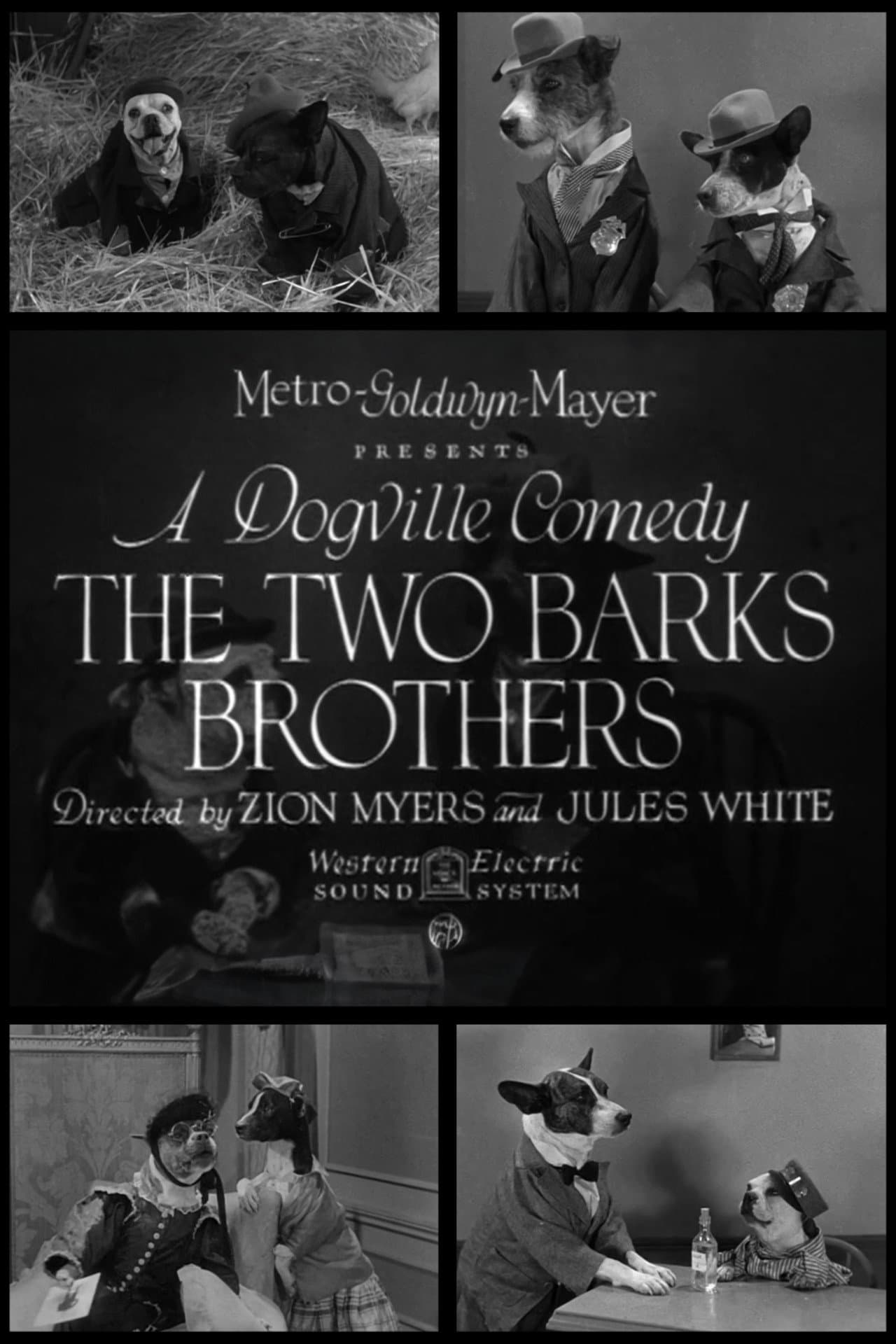 The Two Barks Brothers preview 1