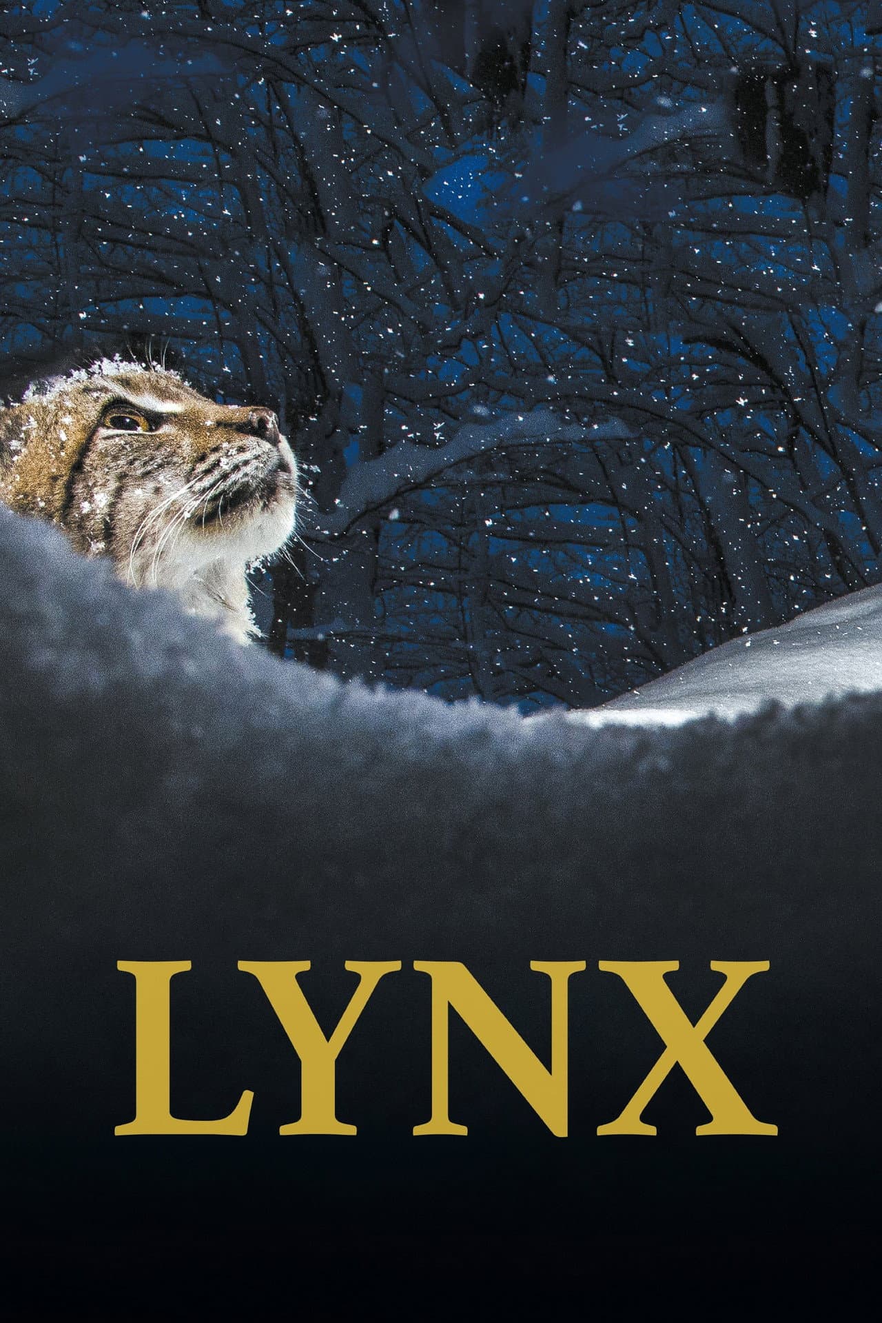 Lynx preview 2