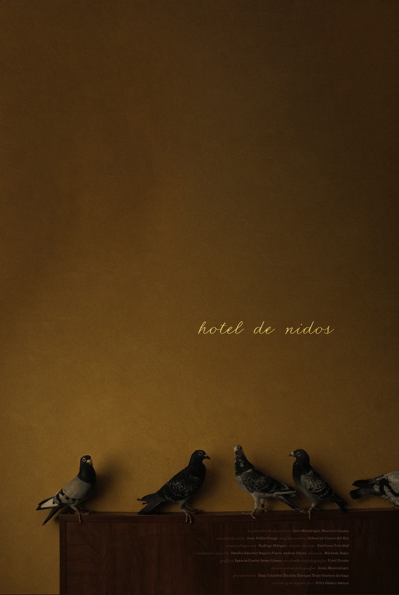 Hotel nests preview 2