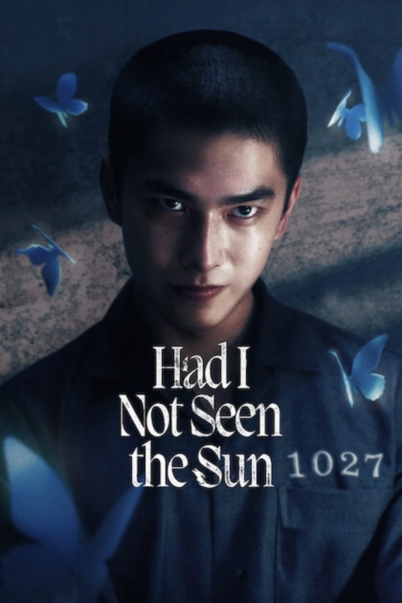 Had I Not Seen the Sun preview 2
