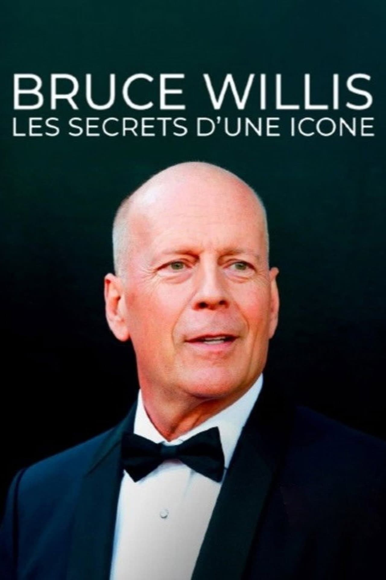 Bruce Willis : les secrets d'une icône preview 2