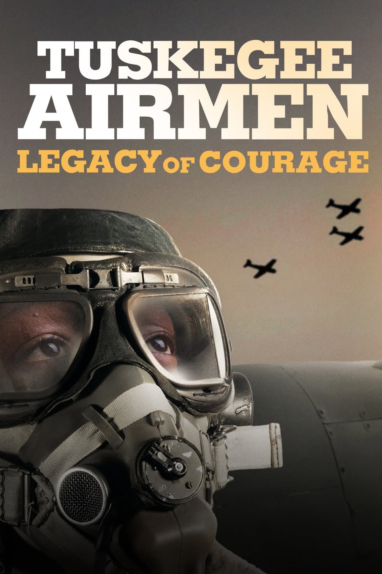 Tuskegee Airmen: Legacy of Courage preview 2