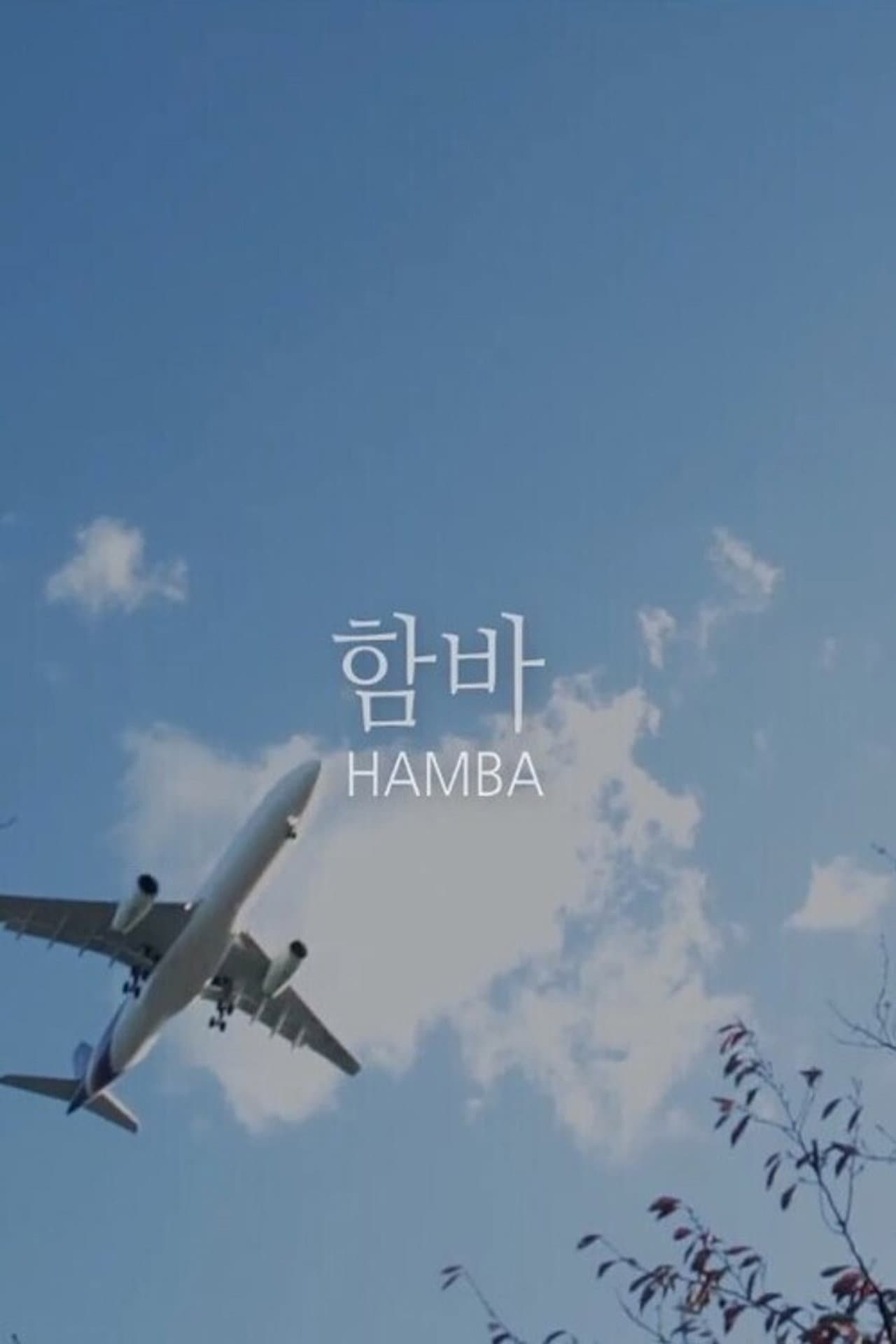 HAMBA preview 1