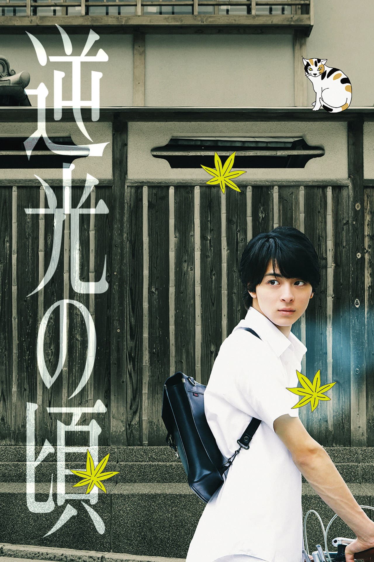Lights of Kyoto preview 2