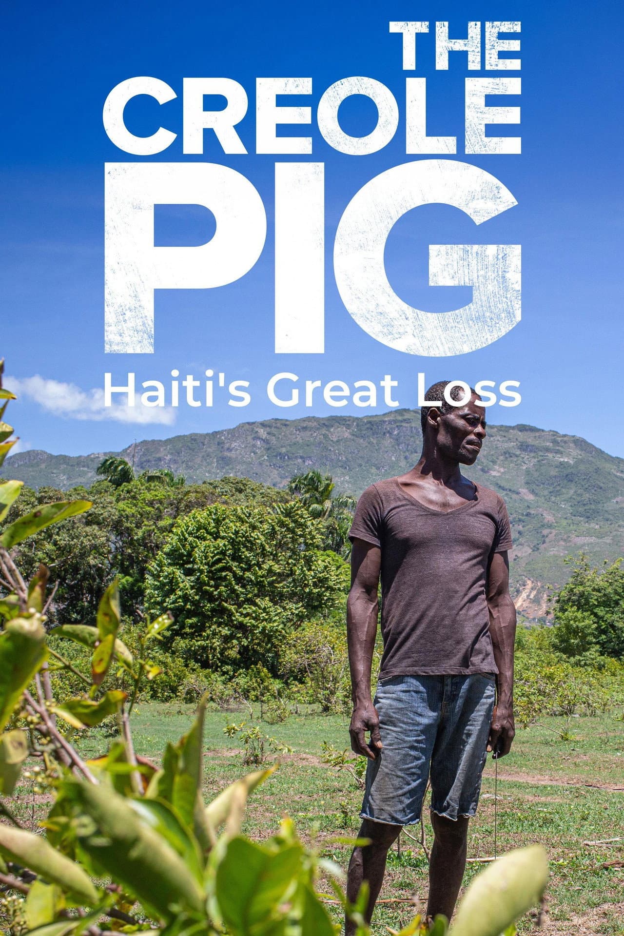 The Creole Pig: Haiti's Great Loss preview 2