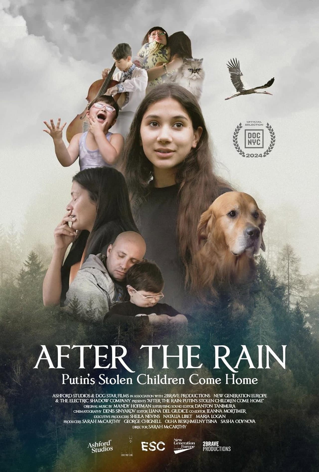 After the Rain: Putin's Stolen Children Come Home preview 2