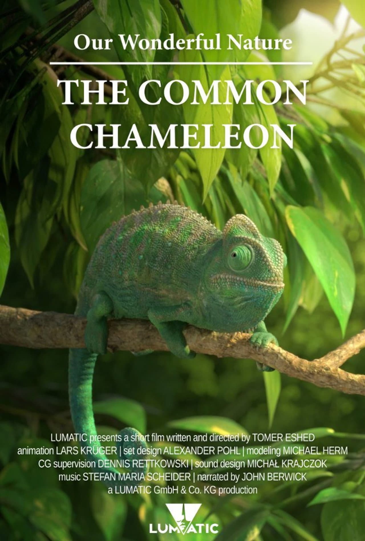 Our Wonderful Nature - The Common Chameleon preview 1