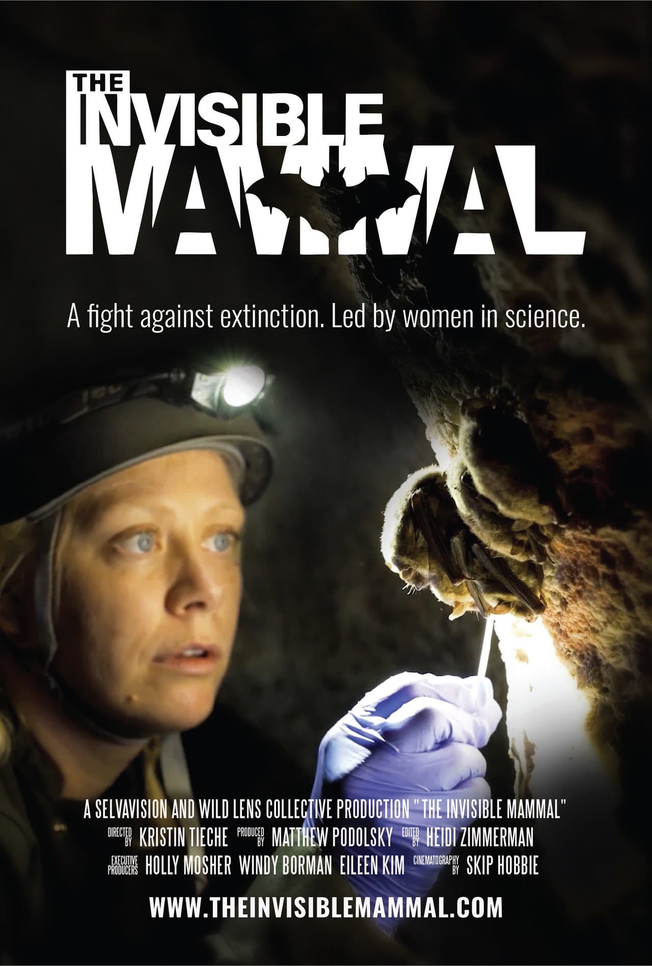 The Invisible Mammal preview 1