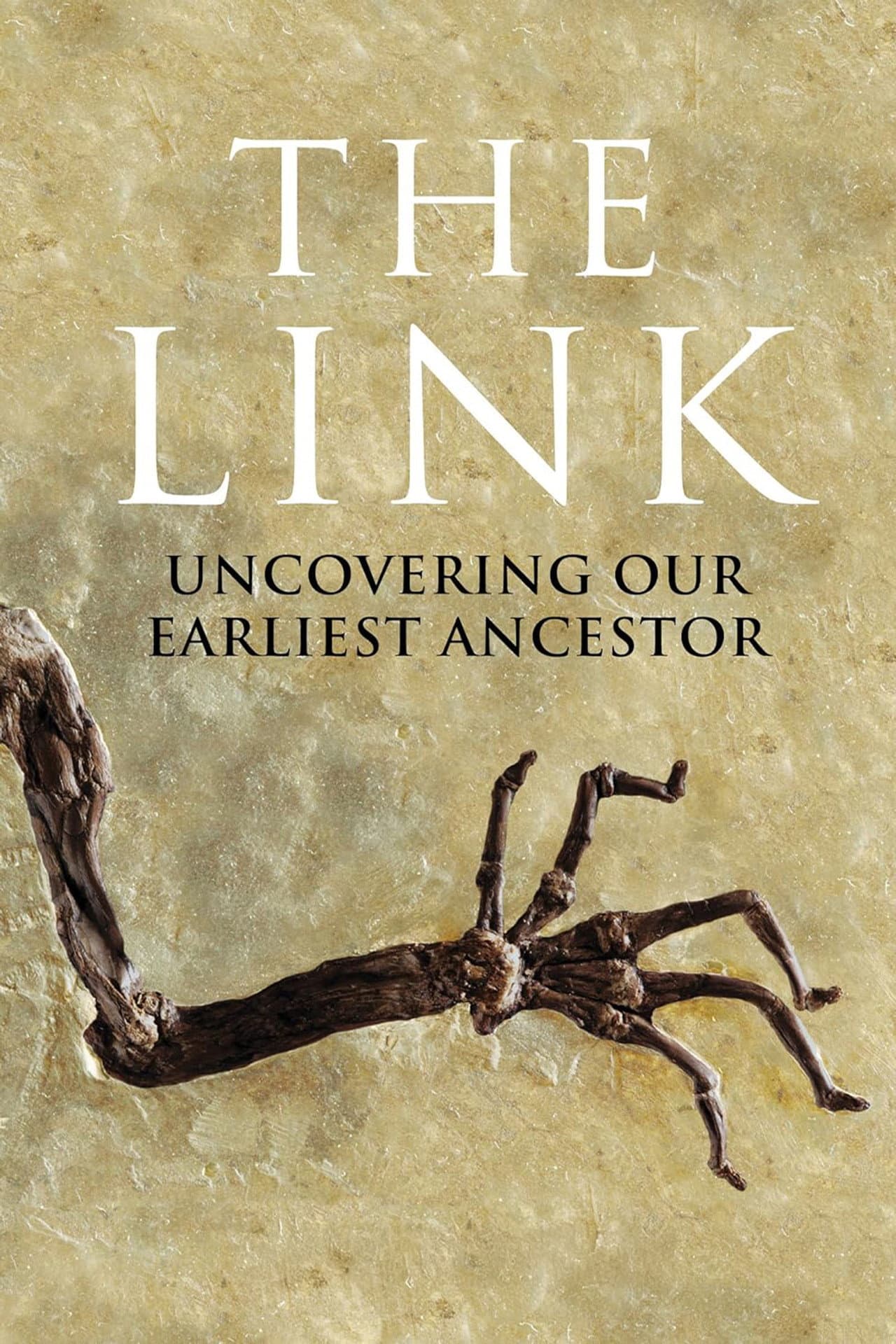 Uncovering Our Earliest Ancestor: The Link preview 1