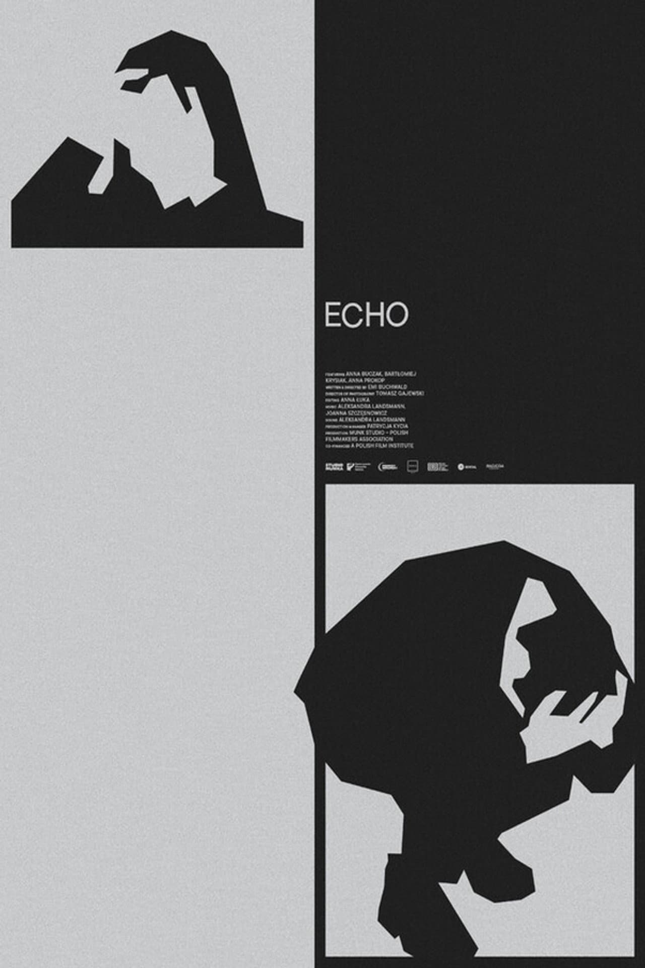 Echo preview 2