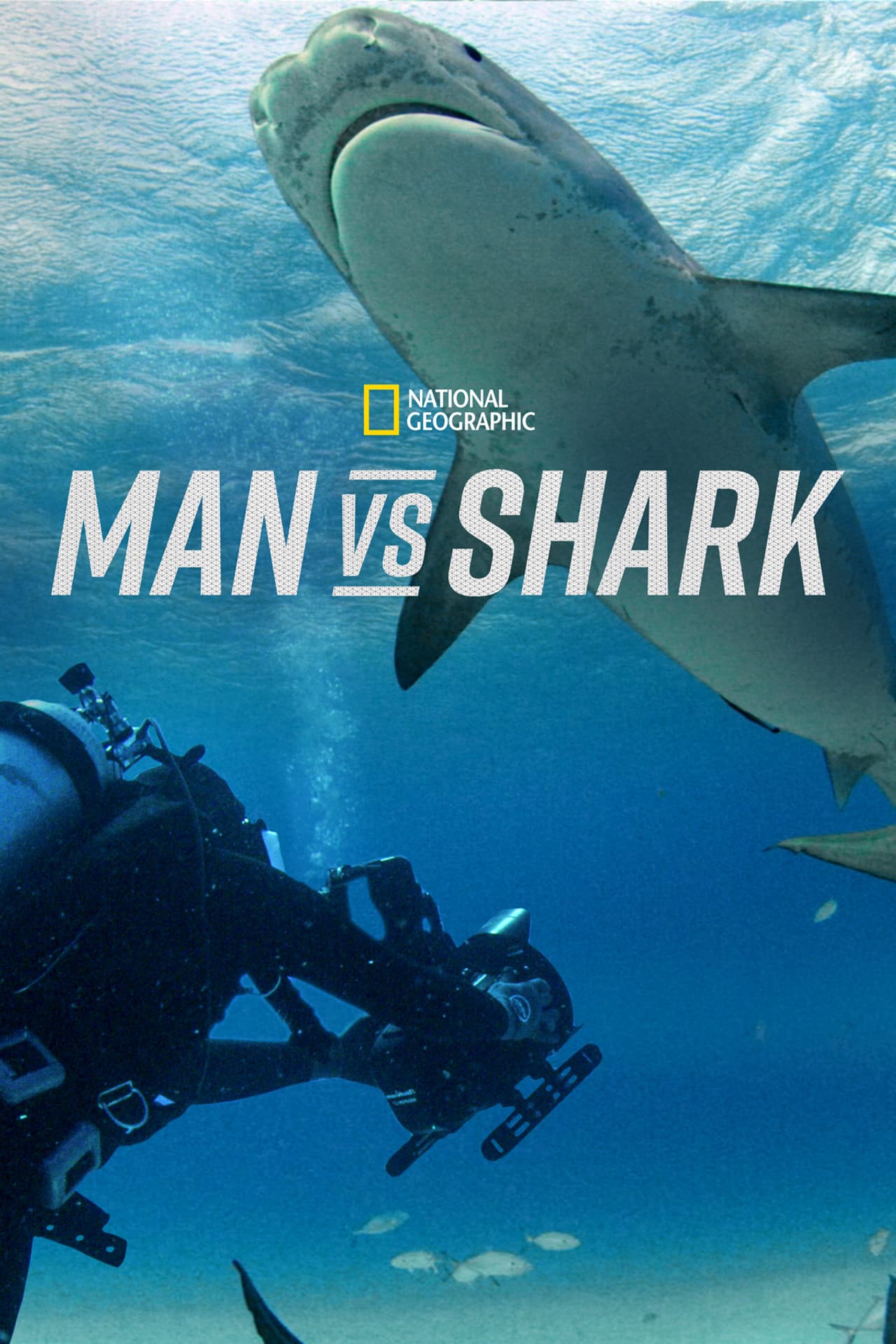Man vs. Shark preview 2