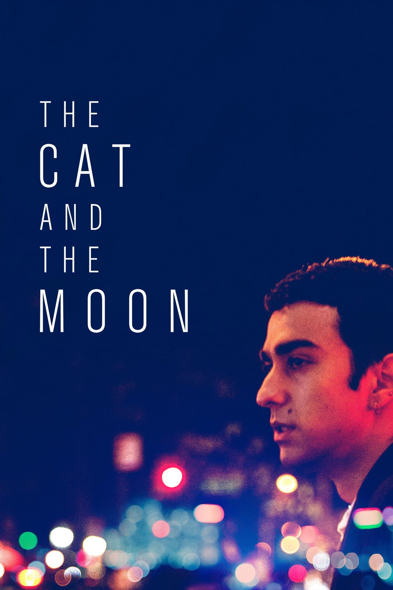 The Cat and the Moon preview 2
