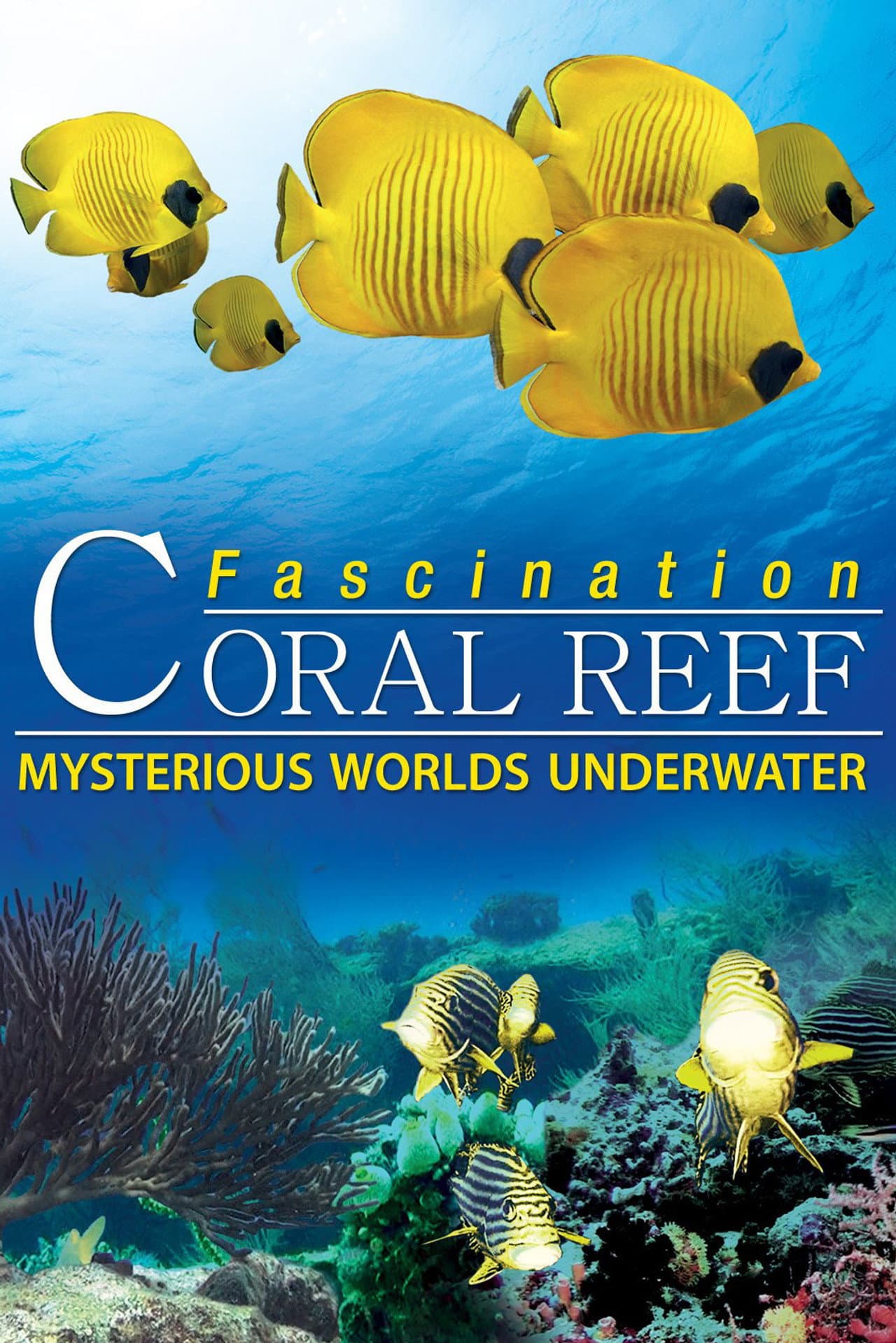 Fascination Coral Reef: Mysterious Worlds Underwater preview 1