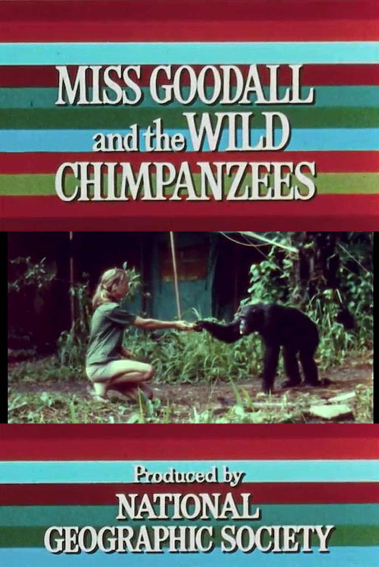 Miss Goodall and the Wild Chimpanzees preview 1