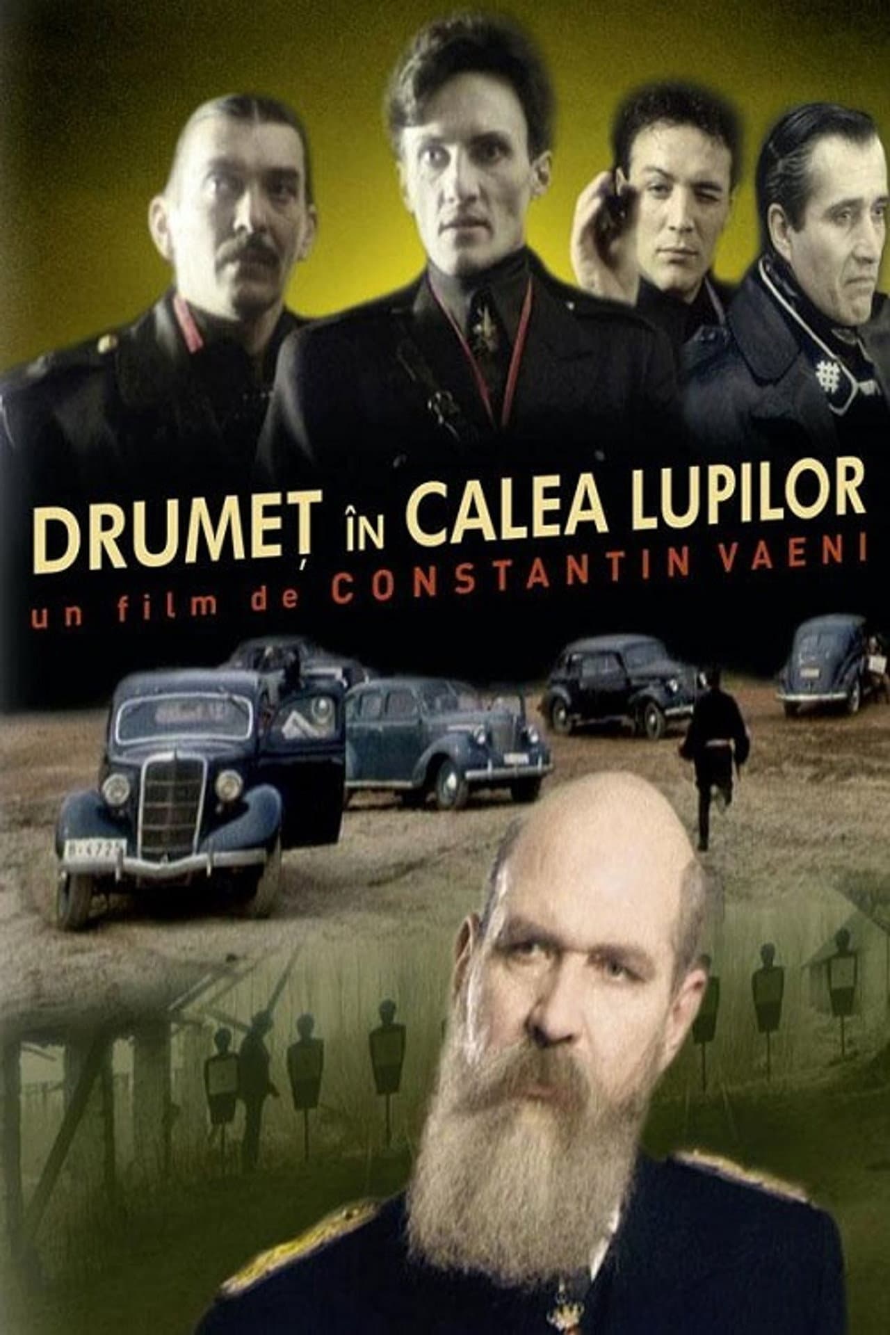 Drumeț în calea lupilor preview 1