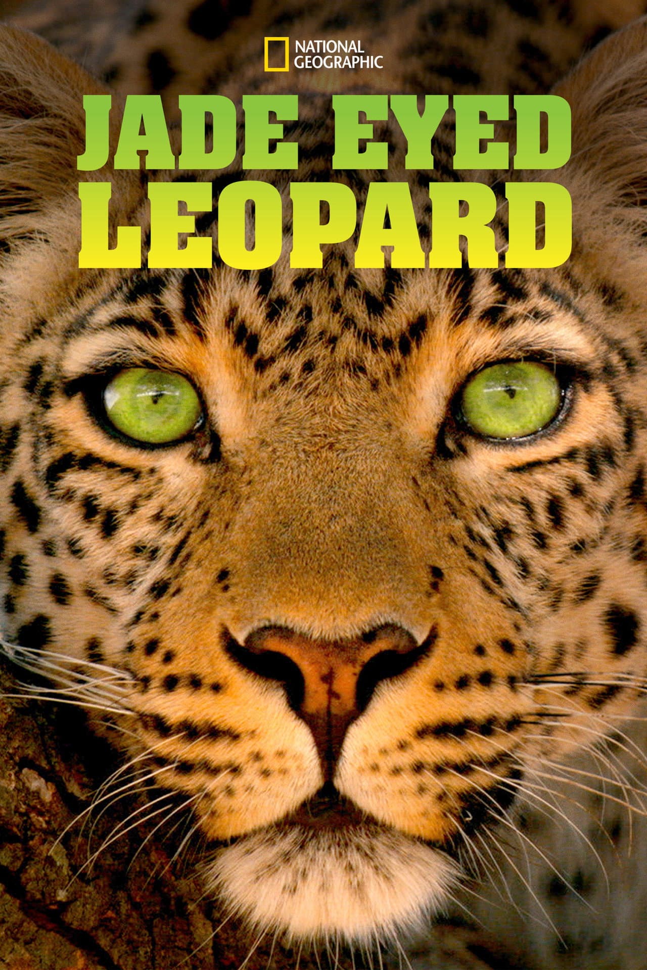 Jade Eyed Leopard preview 2
