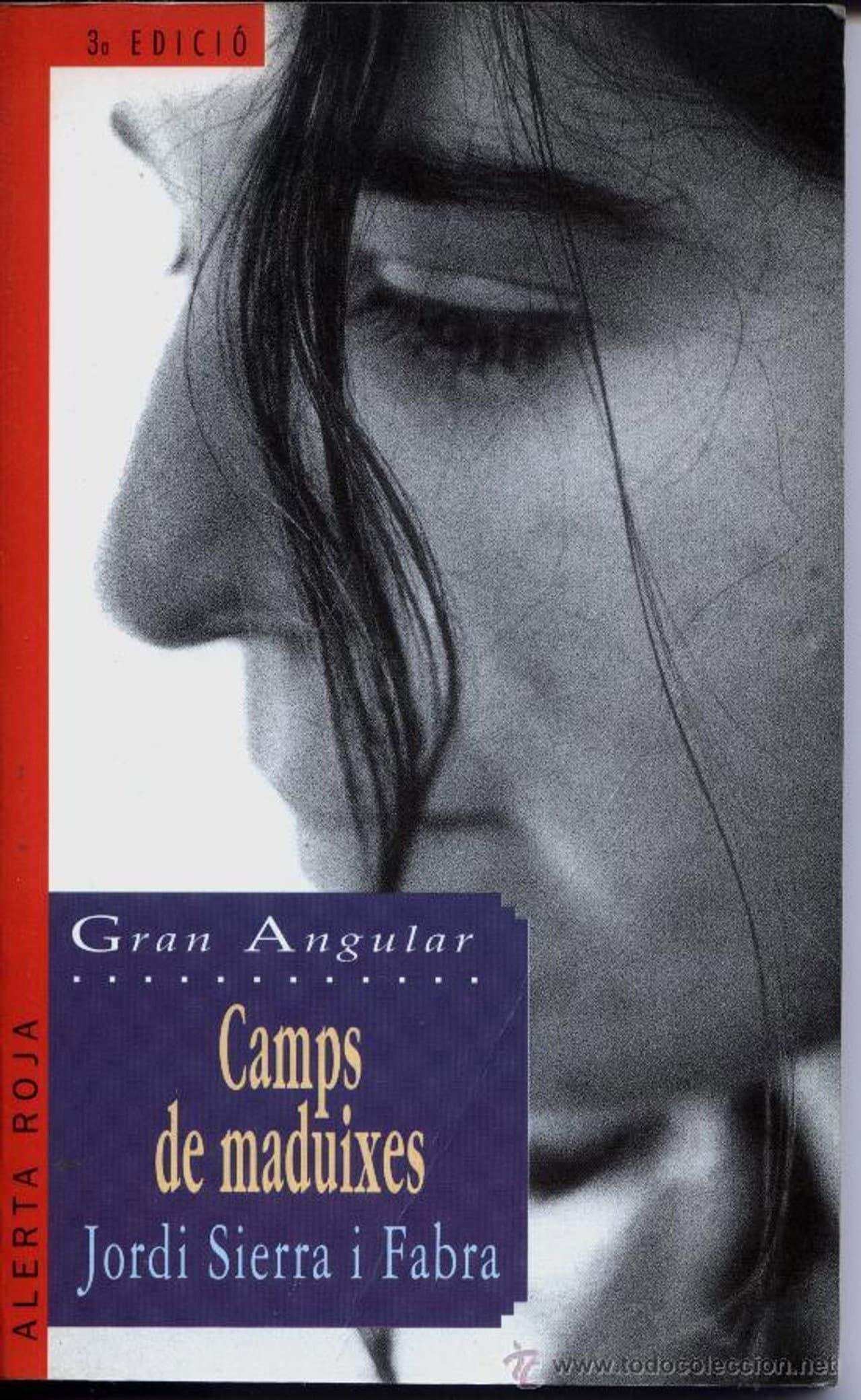 Camps de maduixes preview 1
