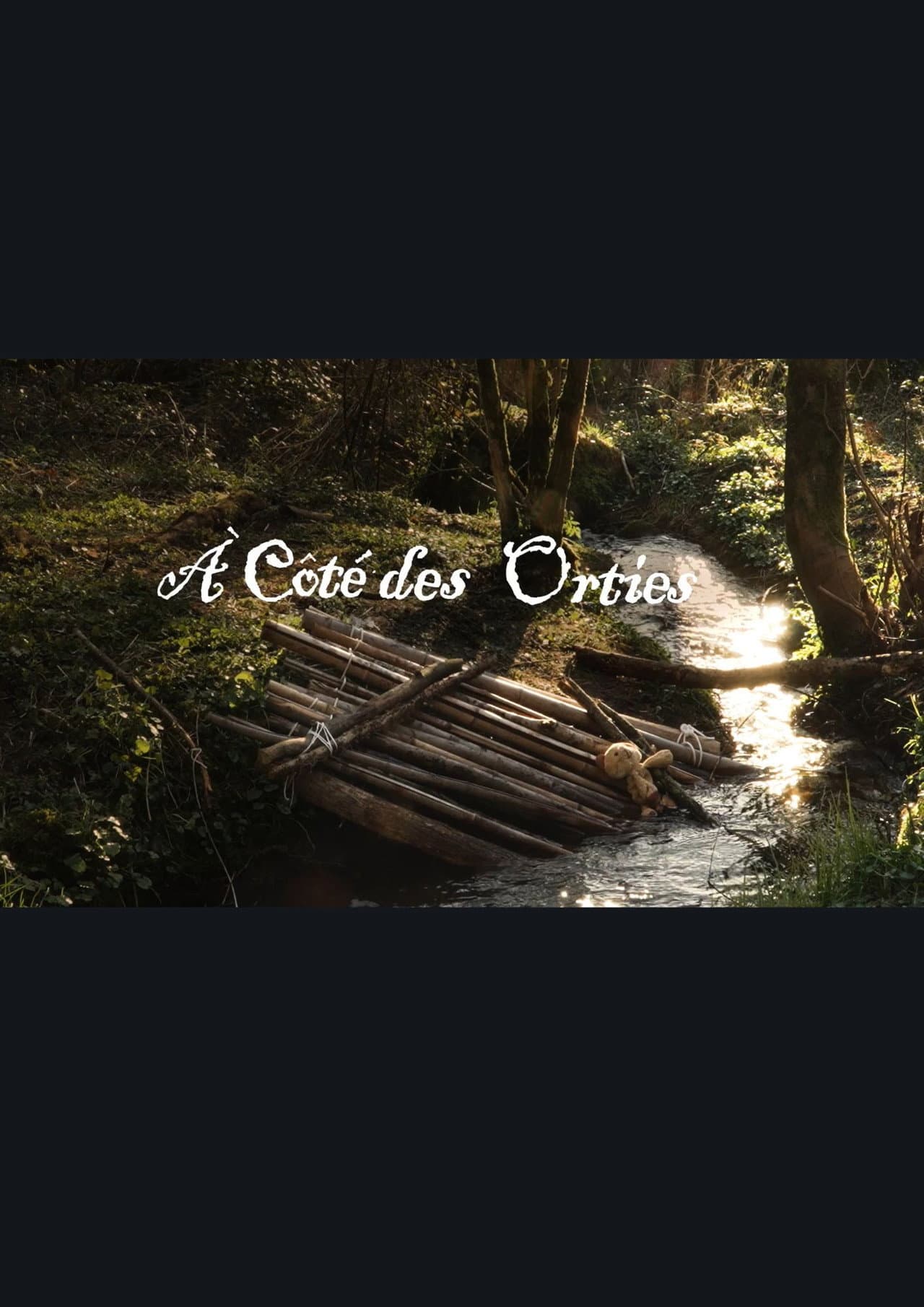 A côté des orties preview 1
