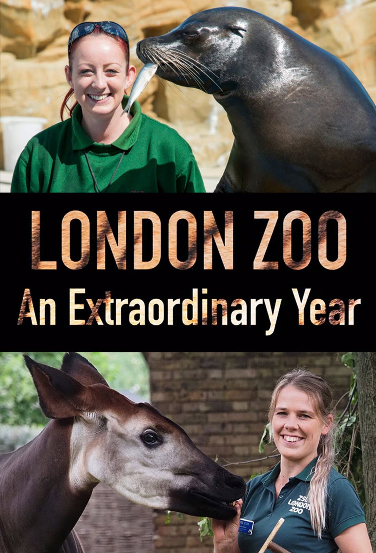 London Zoo: An Extraordinary Year preview 2