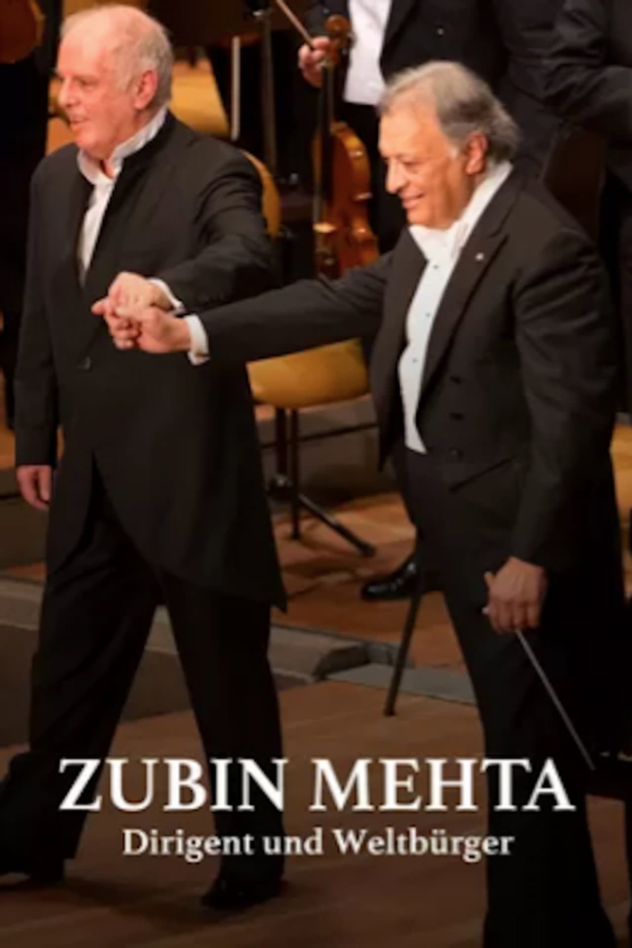 Zubin Mehta: Conductor and Citizen of the World preview 2