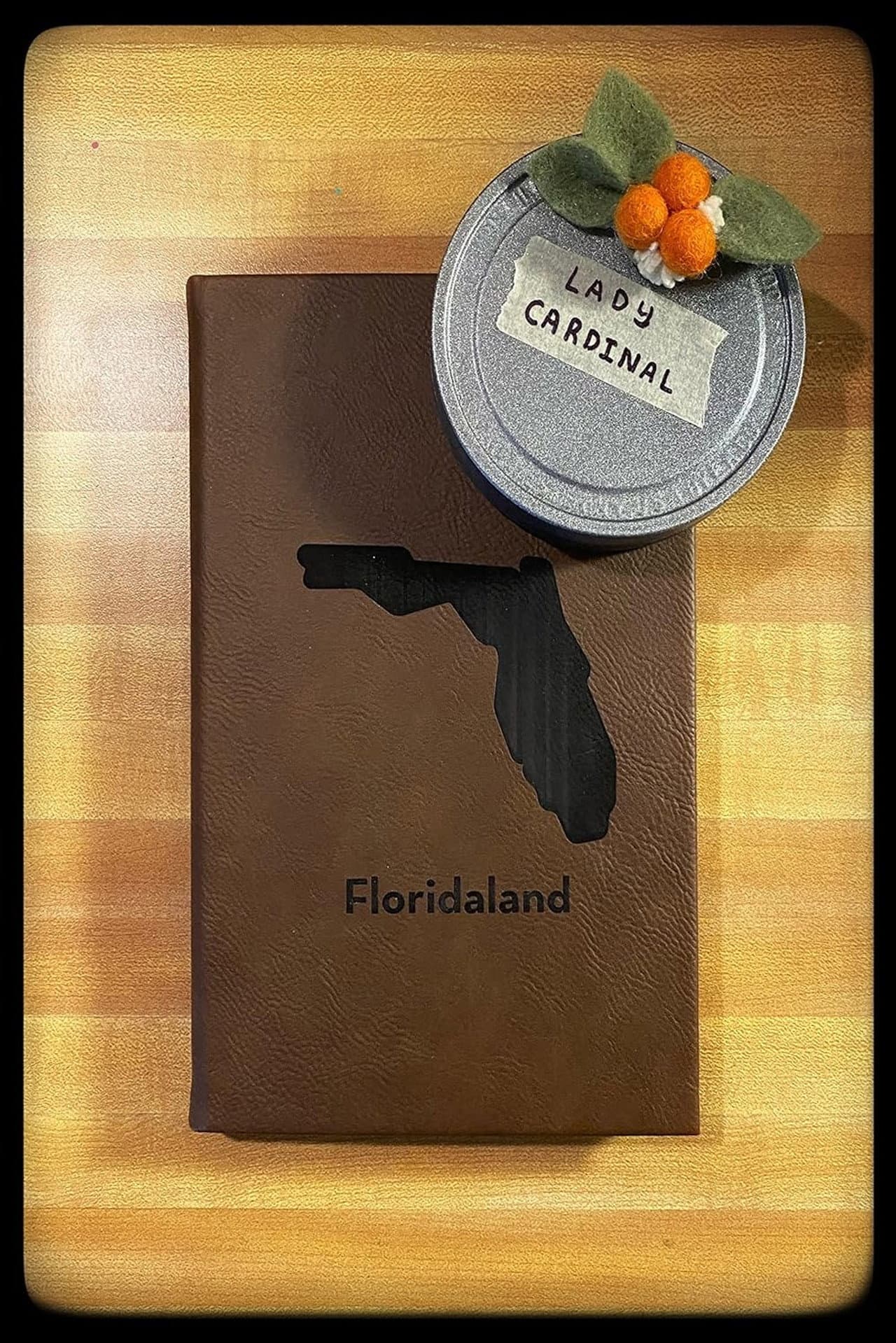 Floridaland preview 1