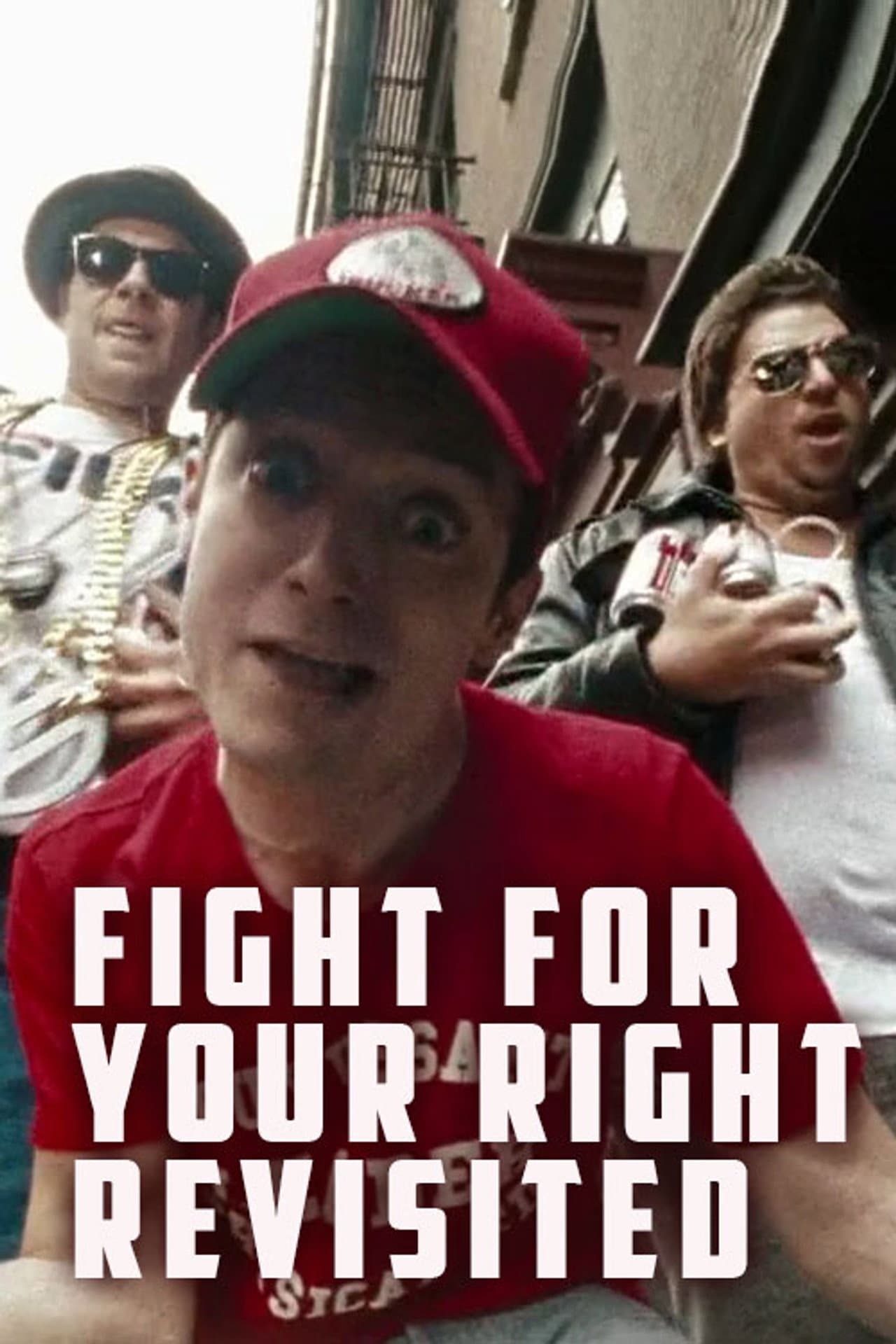 Fight for Your Right Revisited preview 2