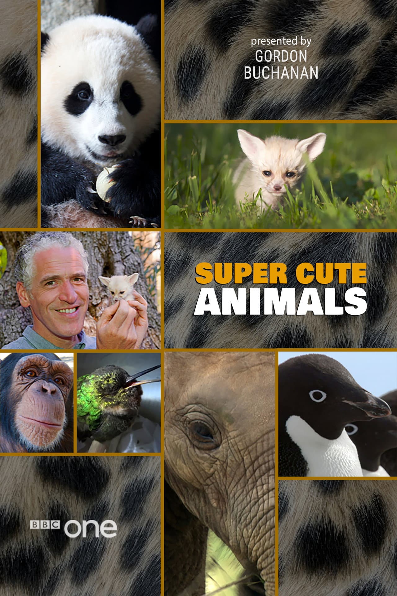Super Cute Animals preview 2