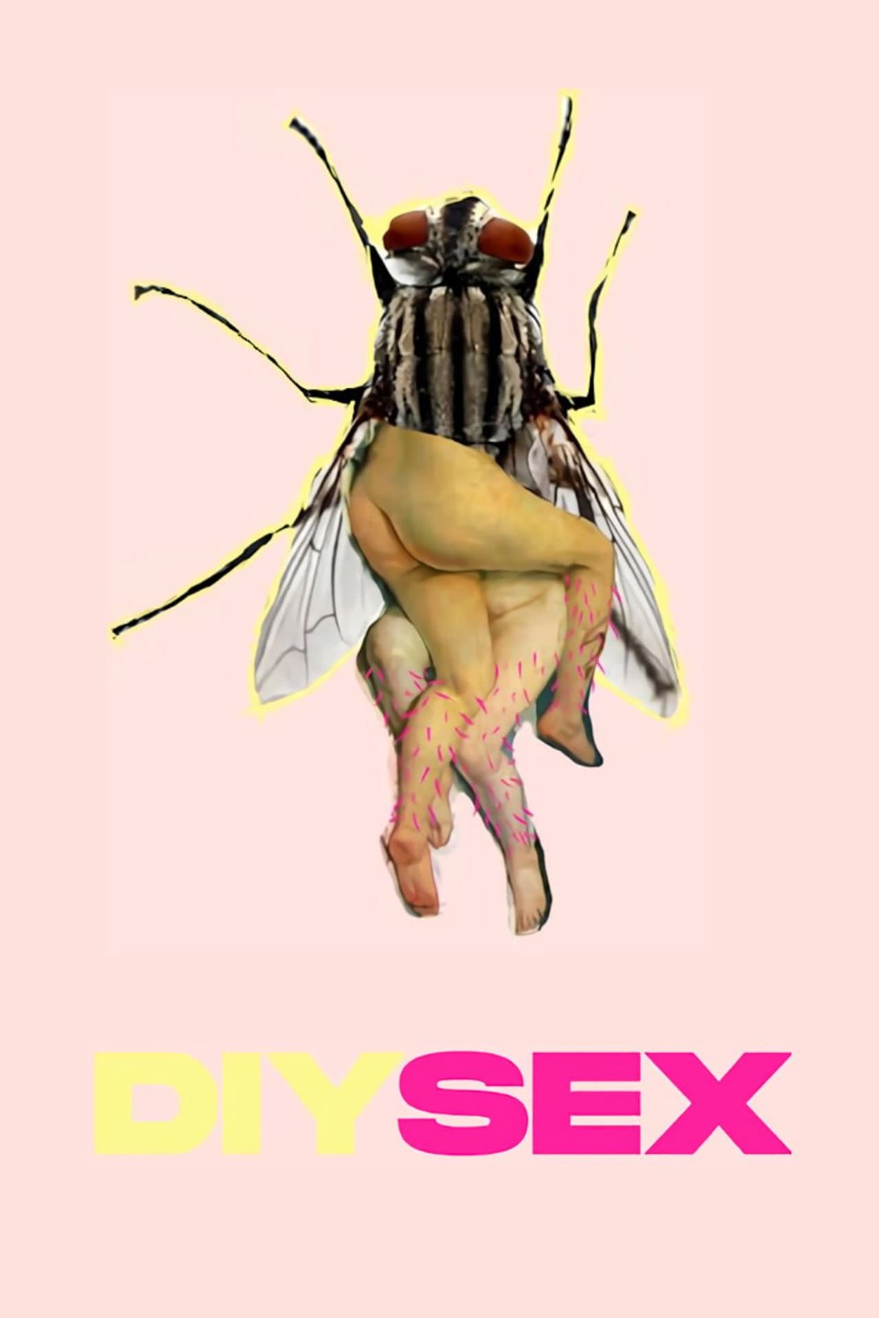 DIYSEX preview 2