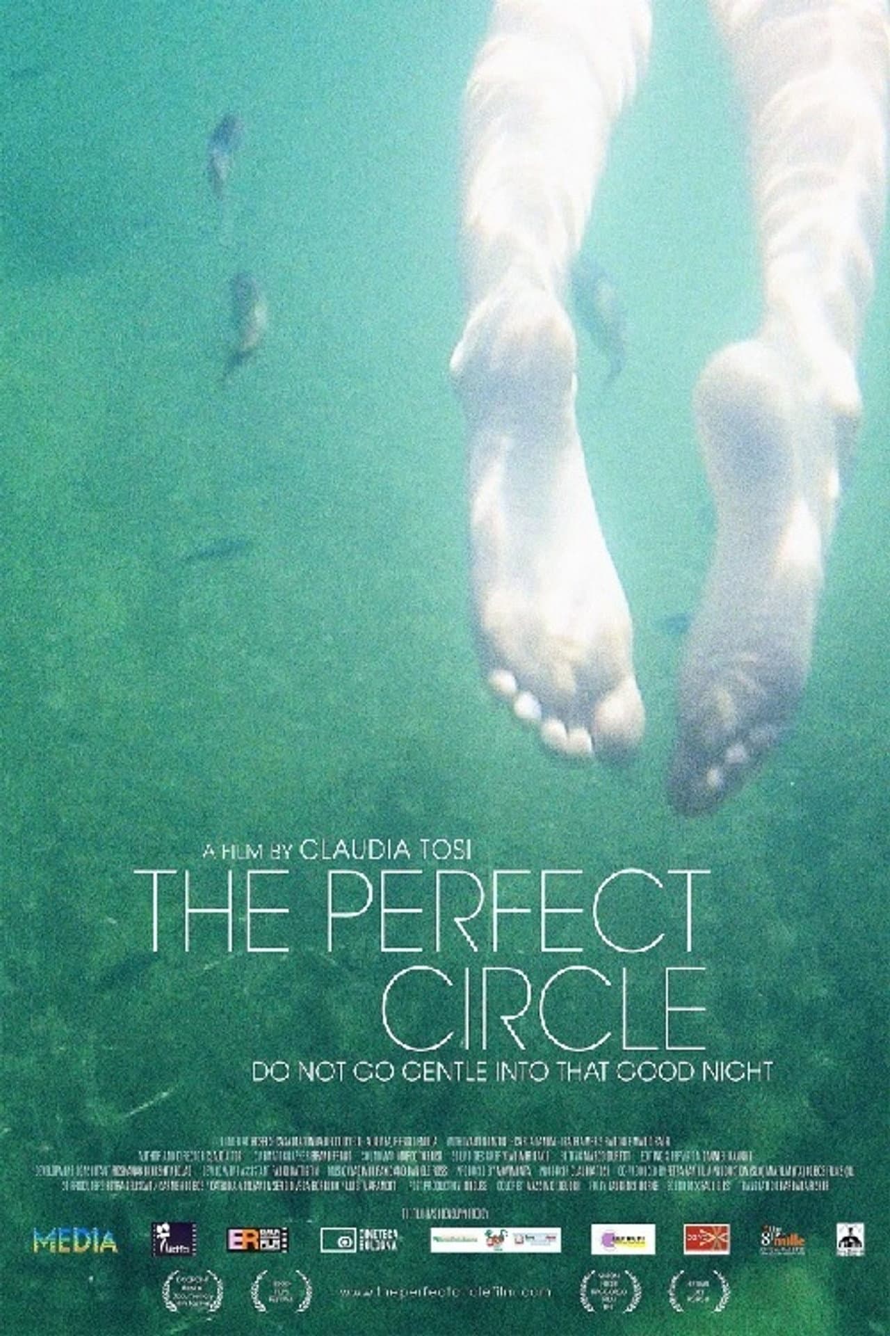 The Perfect Circle preview 1