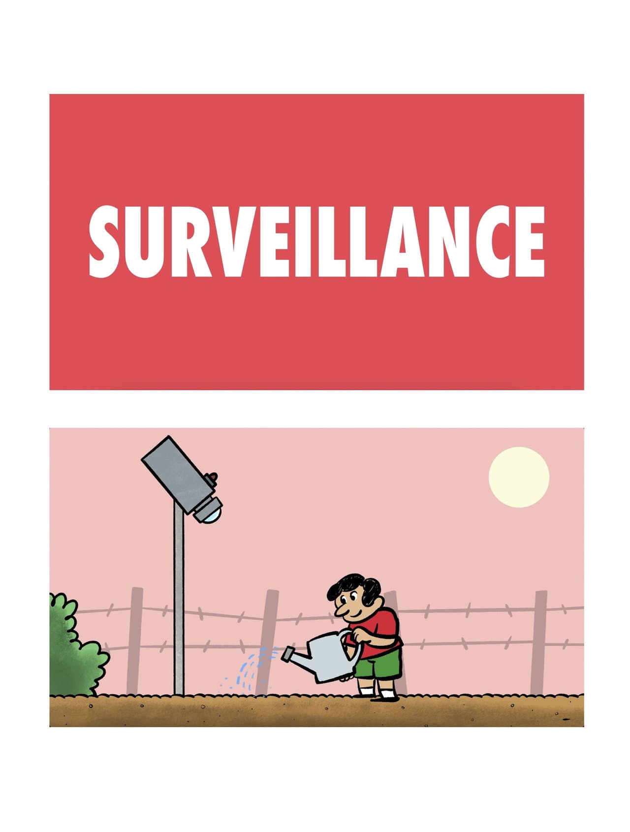Surveillance preview 1