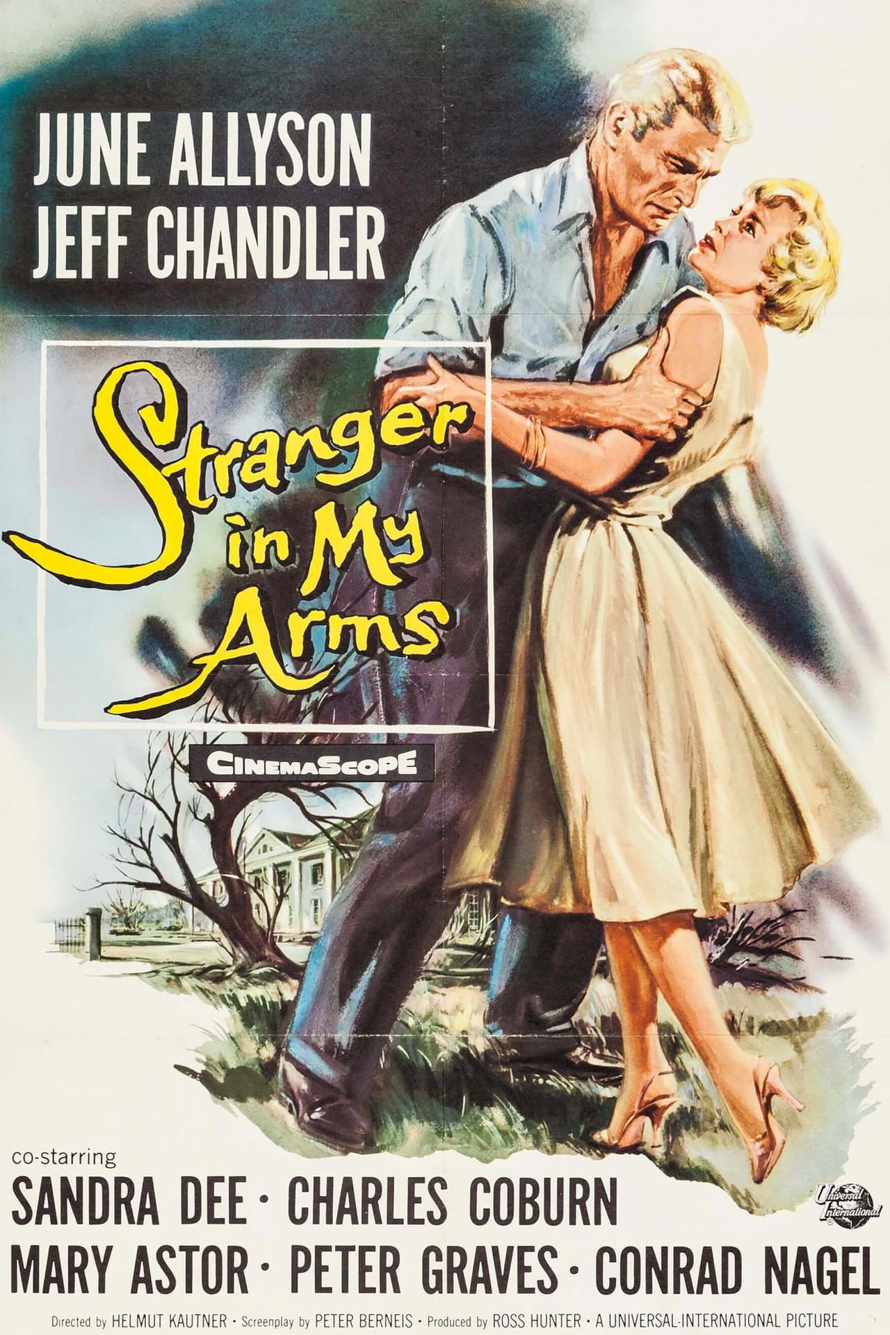 A Stranger in My Arms preview 2