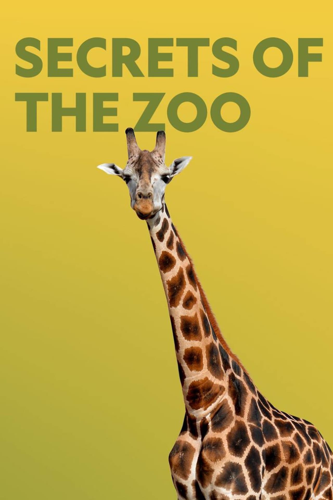 Secrets of the Zoo preview 2
