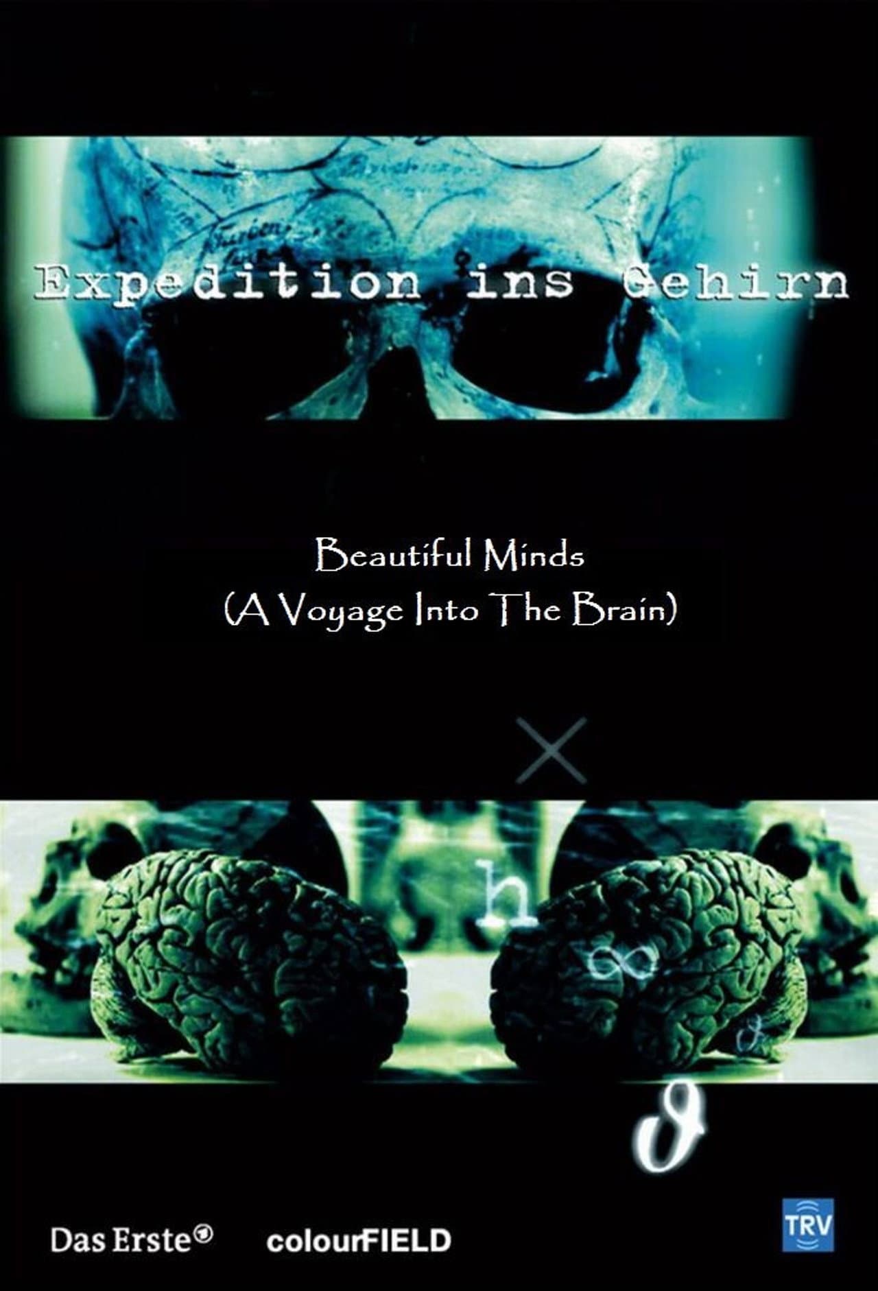 Beautiful Minds - Voyage into the Brain preview 2